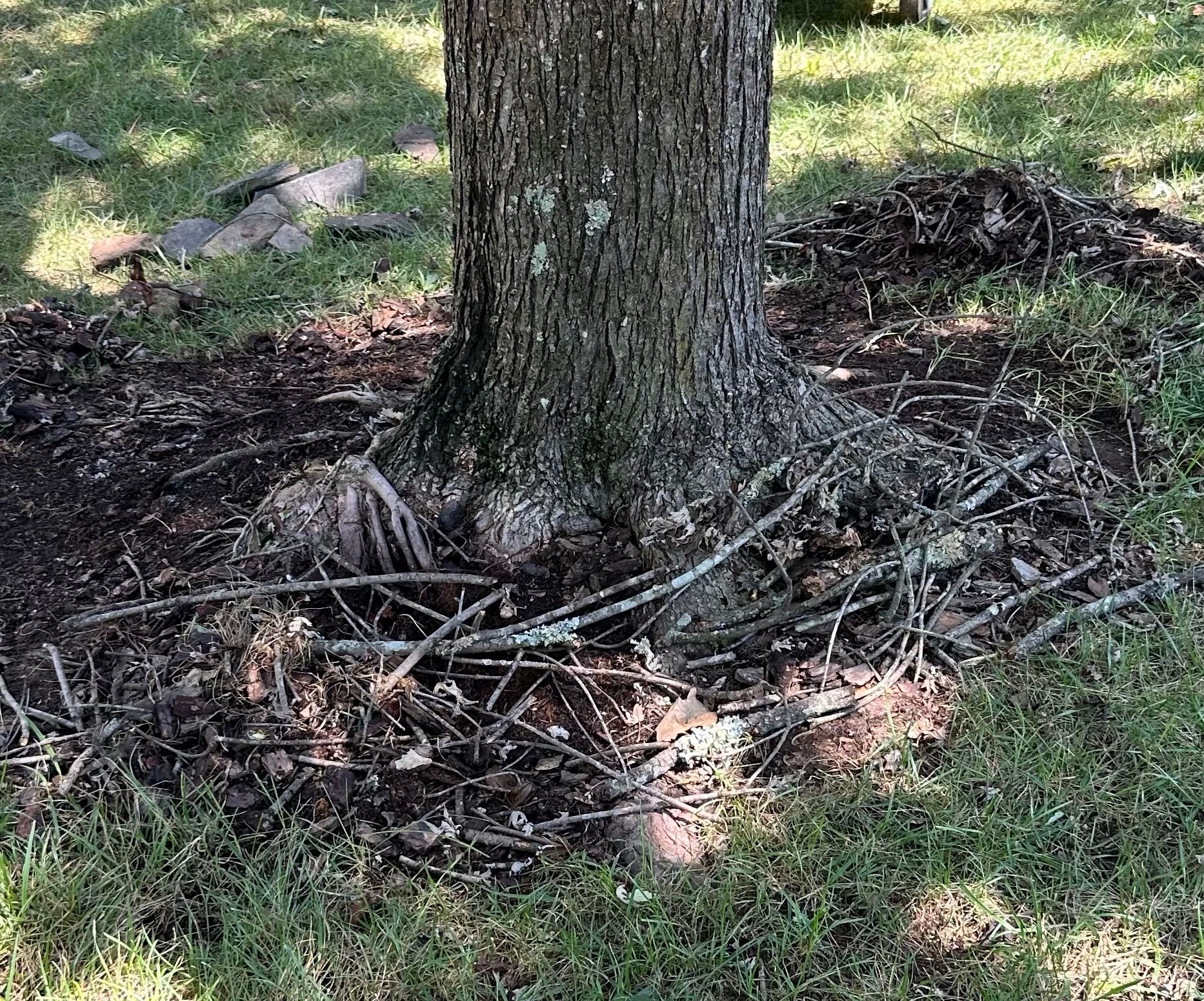  for Upcycled Landscape and Design in Charlotte, NC