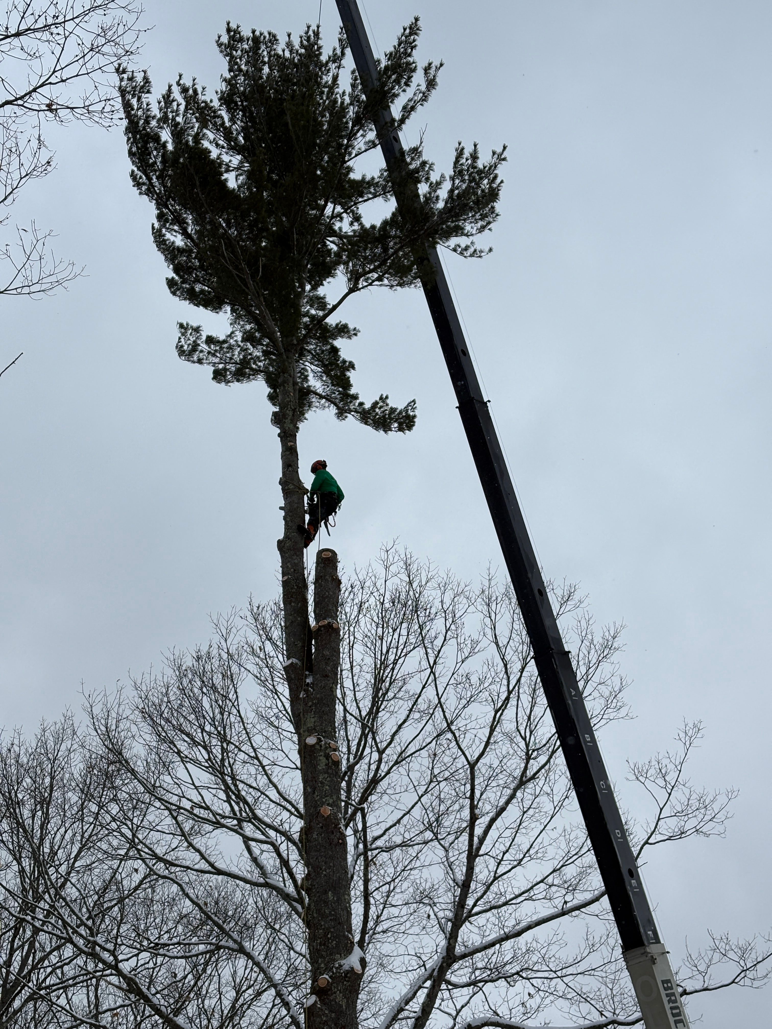 All Photos for Clifford’s Quality Tree Care & Landscaping in Enfield, NH