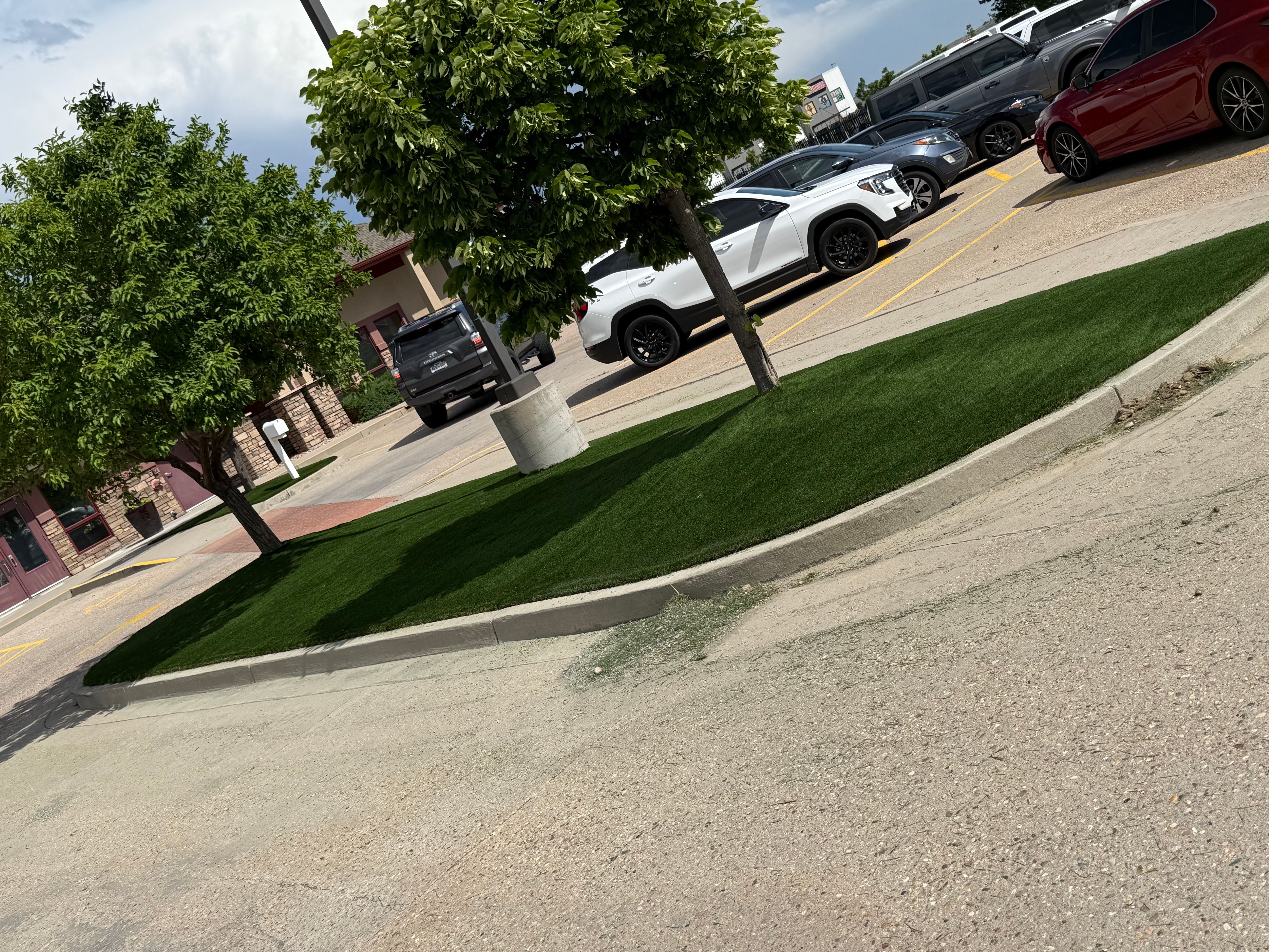 All Photos for Forever Green Turf Pros in Greeley, CO