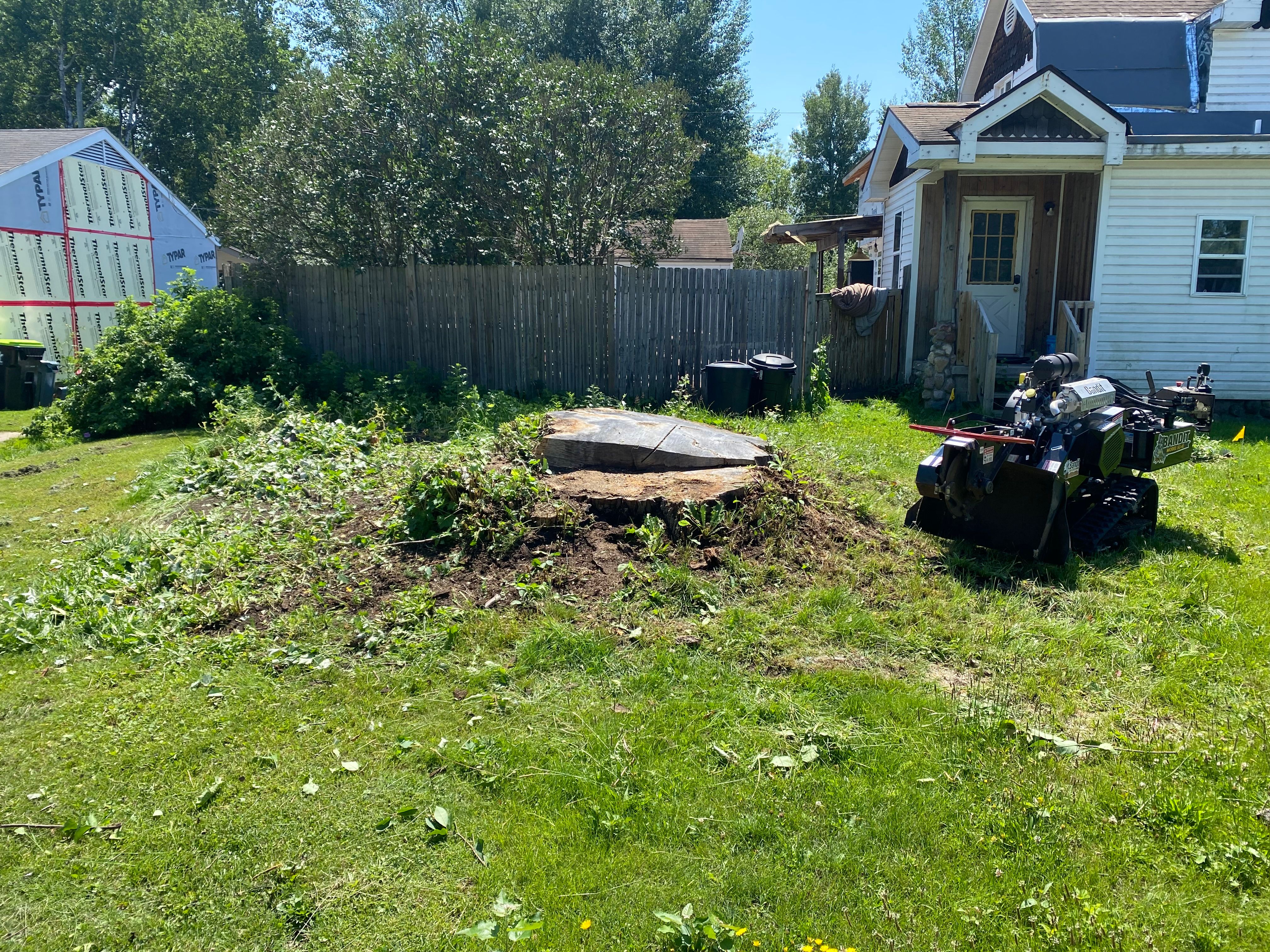 Stump Grinding for Bear Creek Tree Service LLC in Rudyard, MI