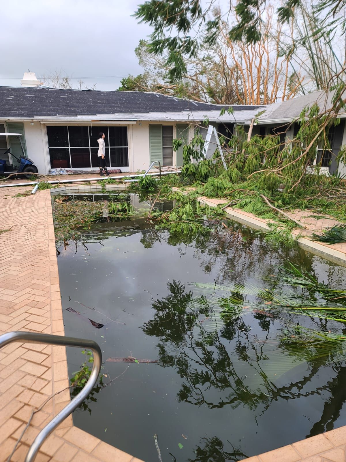  for Surplus Public Adjusters in Miami-Dade County, FL
