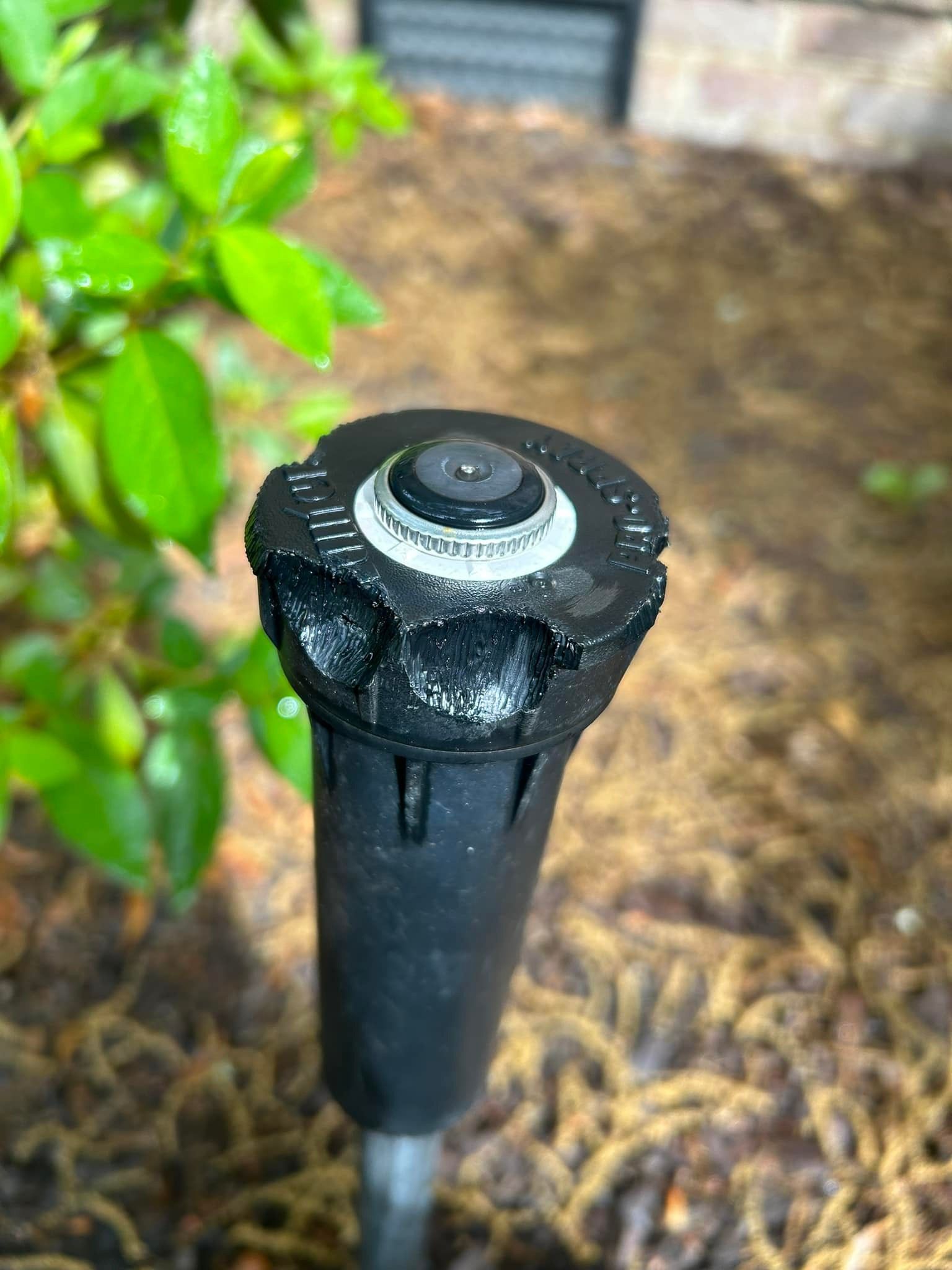  for Wheelhouse Irrigation and lighting in Charleston, South Carolina
