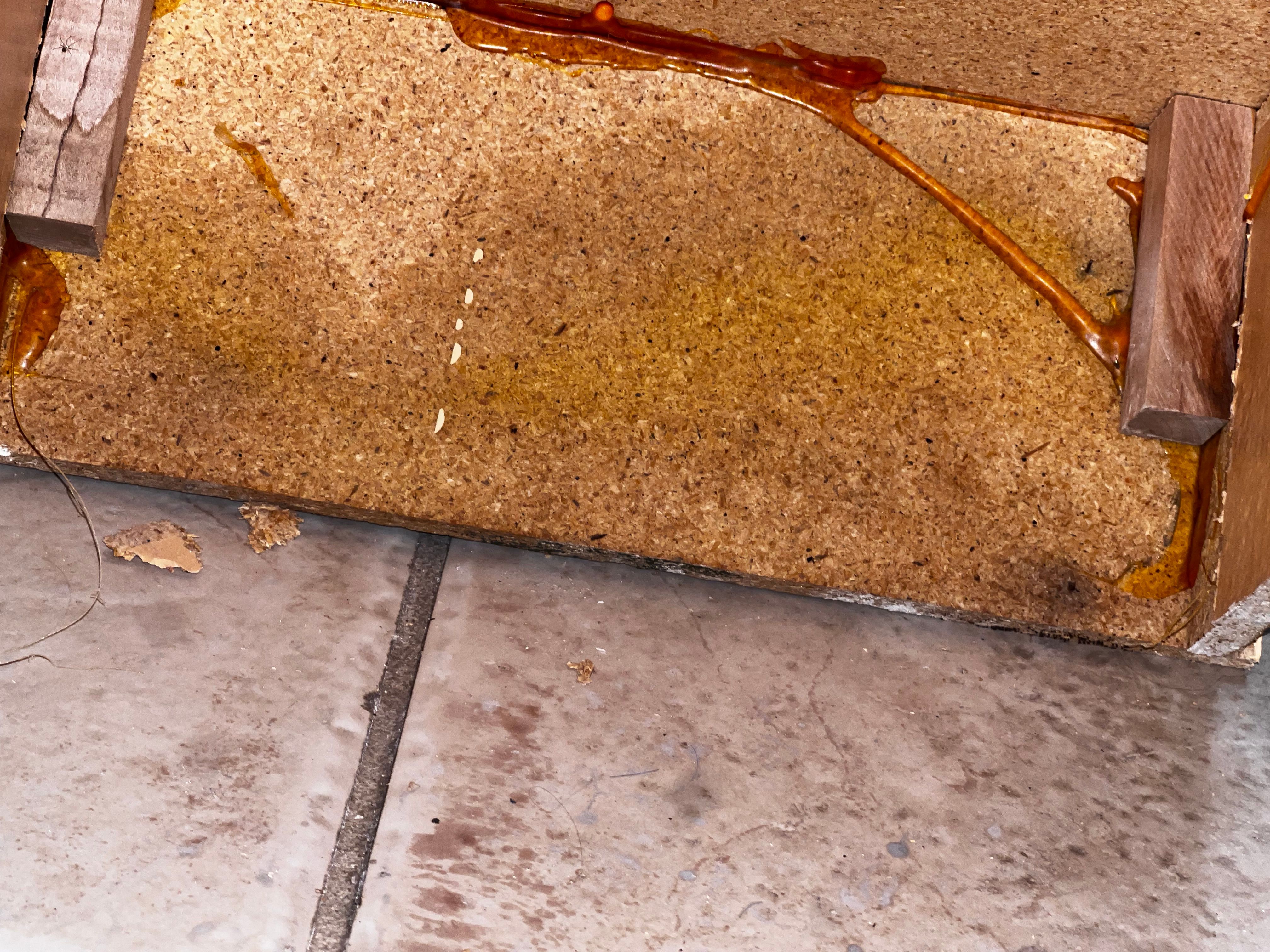  for N&D Restoration Services When Disaster Strikes, We Come In in Cape Coral,  FL