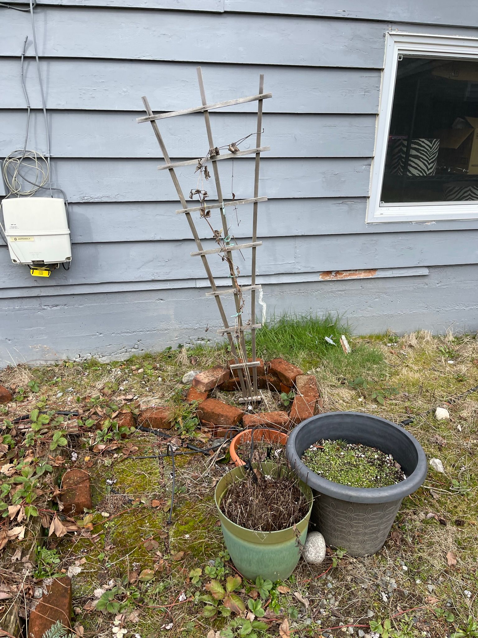  for Tony's Remodeling & Painting in Renton, WA