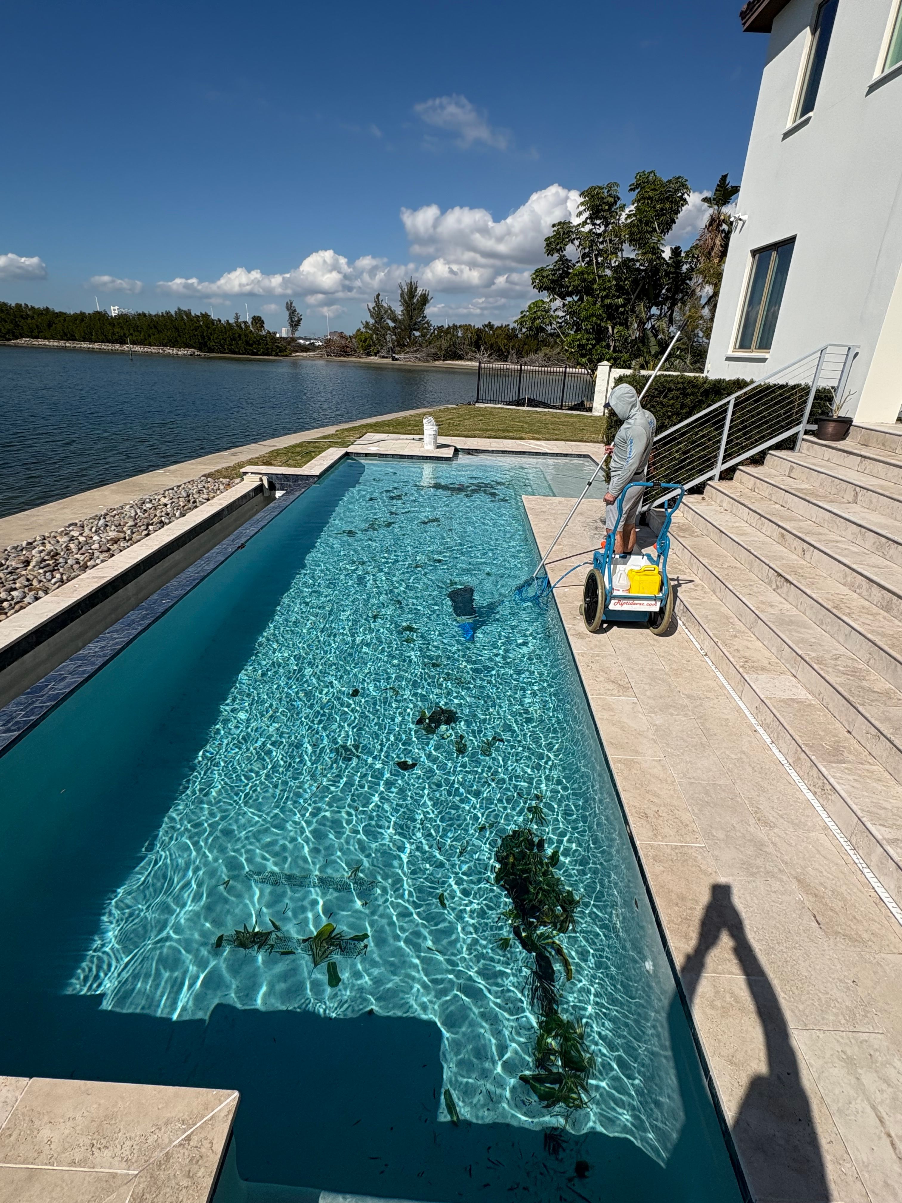  for Blue Bay Pools in Tampa, FL