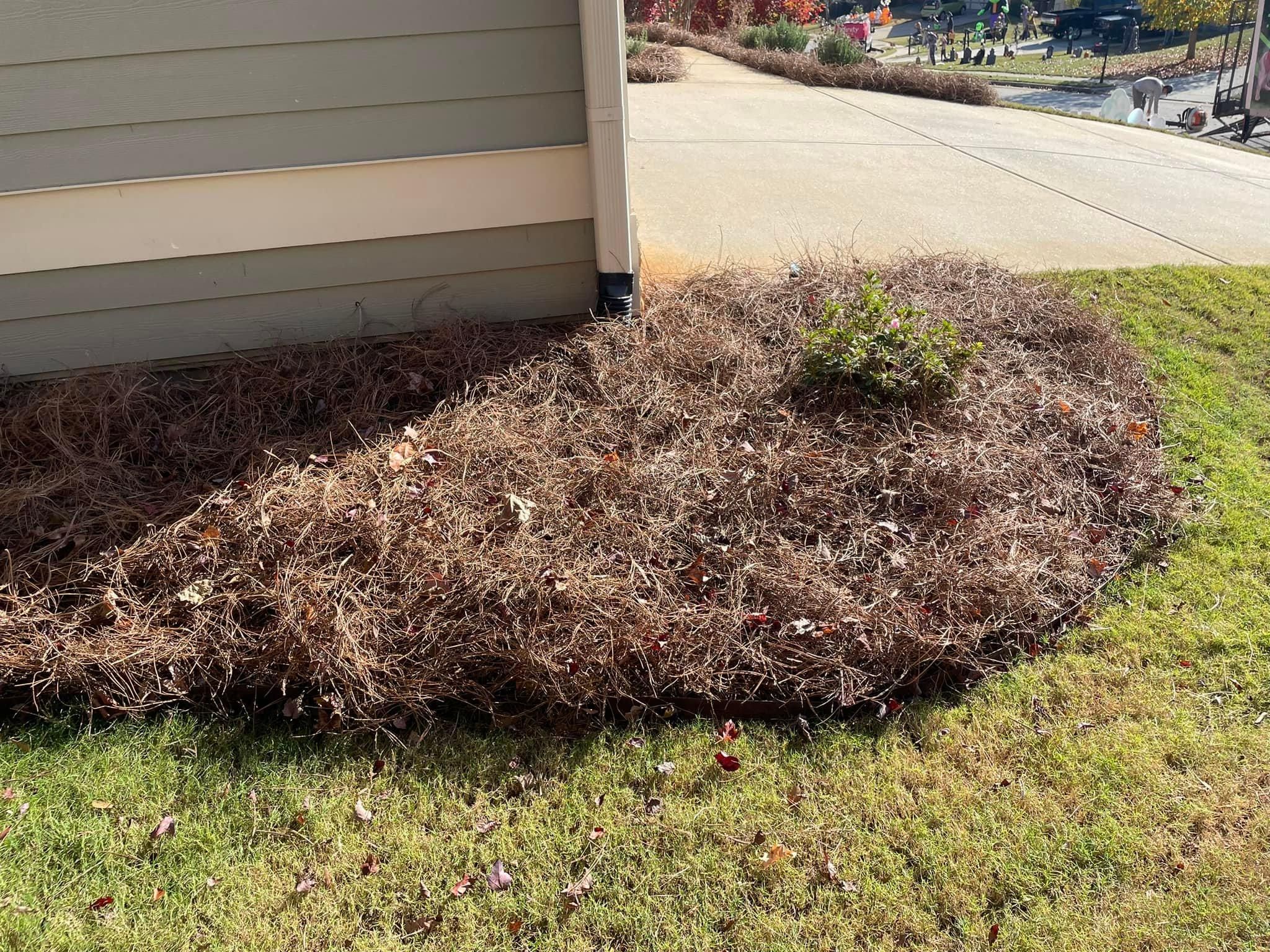 All Photos for Sexton Lawn Care in Jefferson, GA