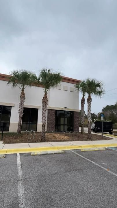 All Photos for A-1 Arbor Tech in Clermont, FL
