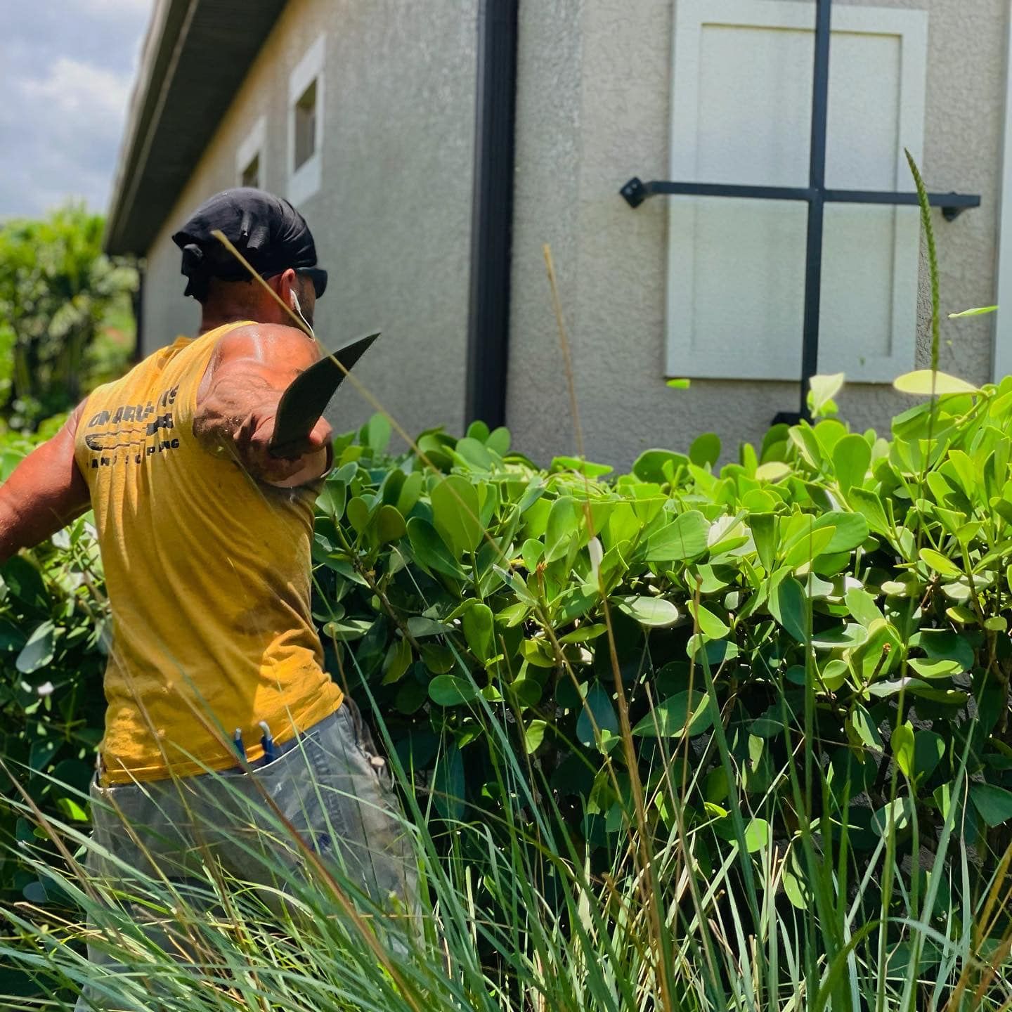  for Omarvelous Landscaping in Sarasota, FL