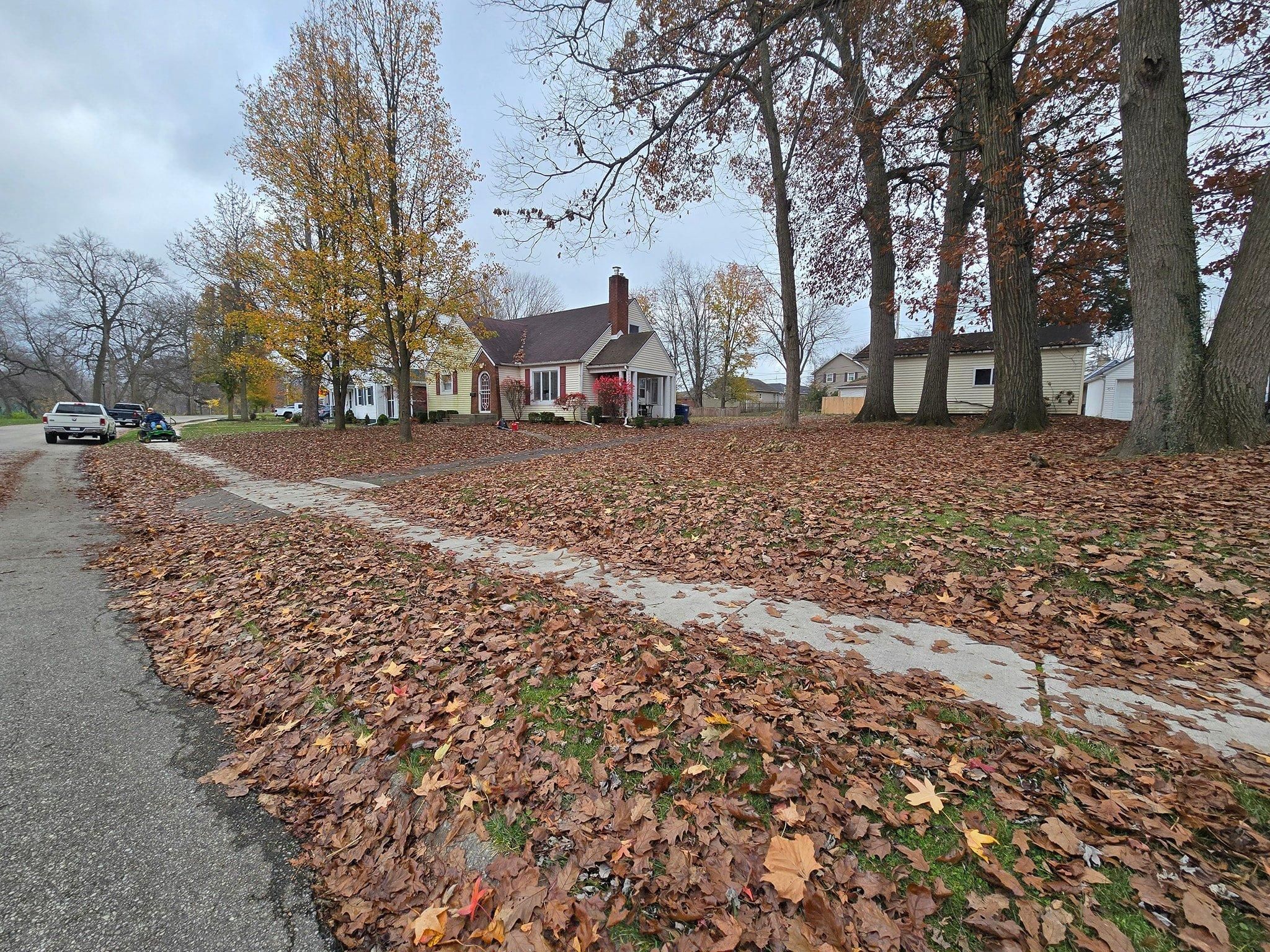 All Photos for Tingley's Green Land Services in Springfield, Ohio