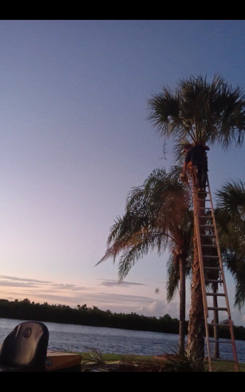  for Alpha Trees Service and Property Management in Port Charlotte, FL