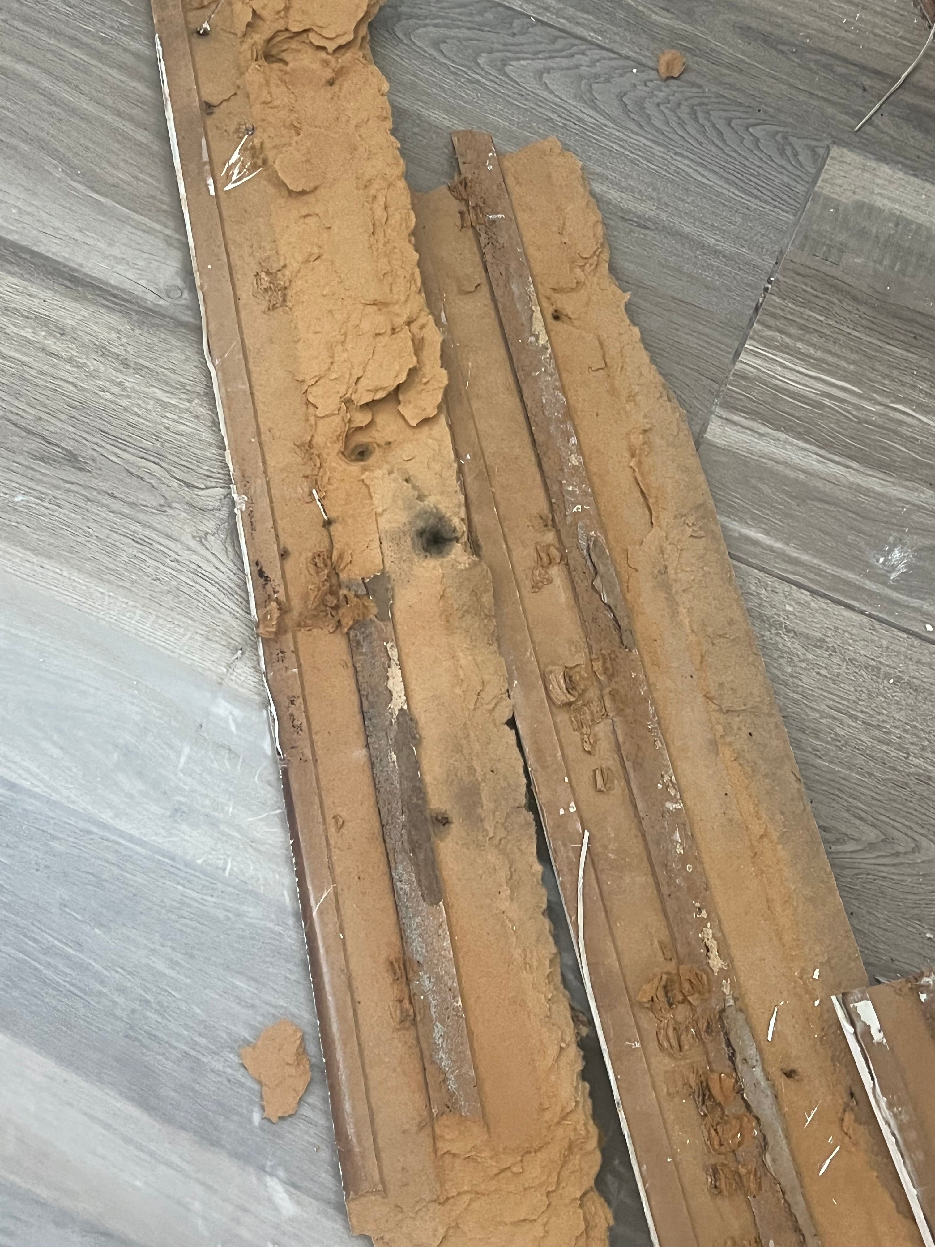  for N&D Restoration Services When Disaster Strikes, We Come In in Cape Coral,  FL