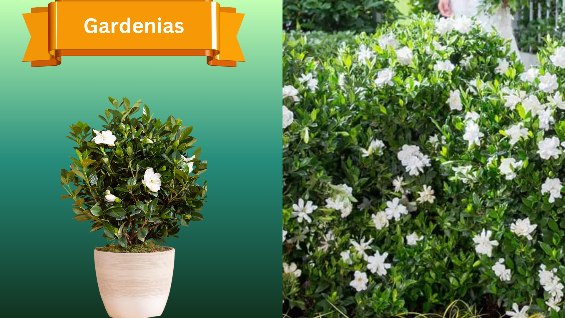  for R.B. & Company in Belleview, FL