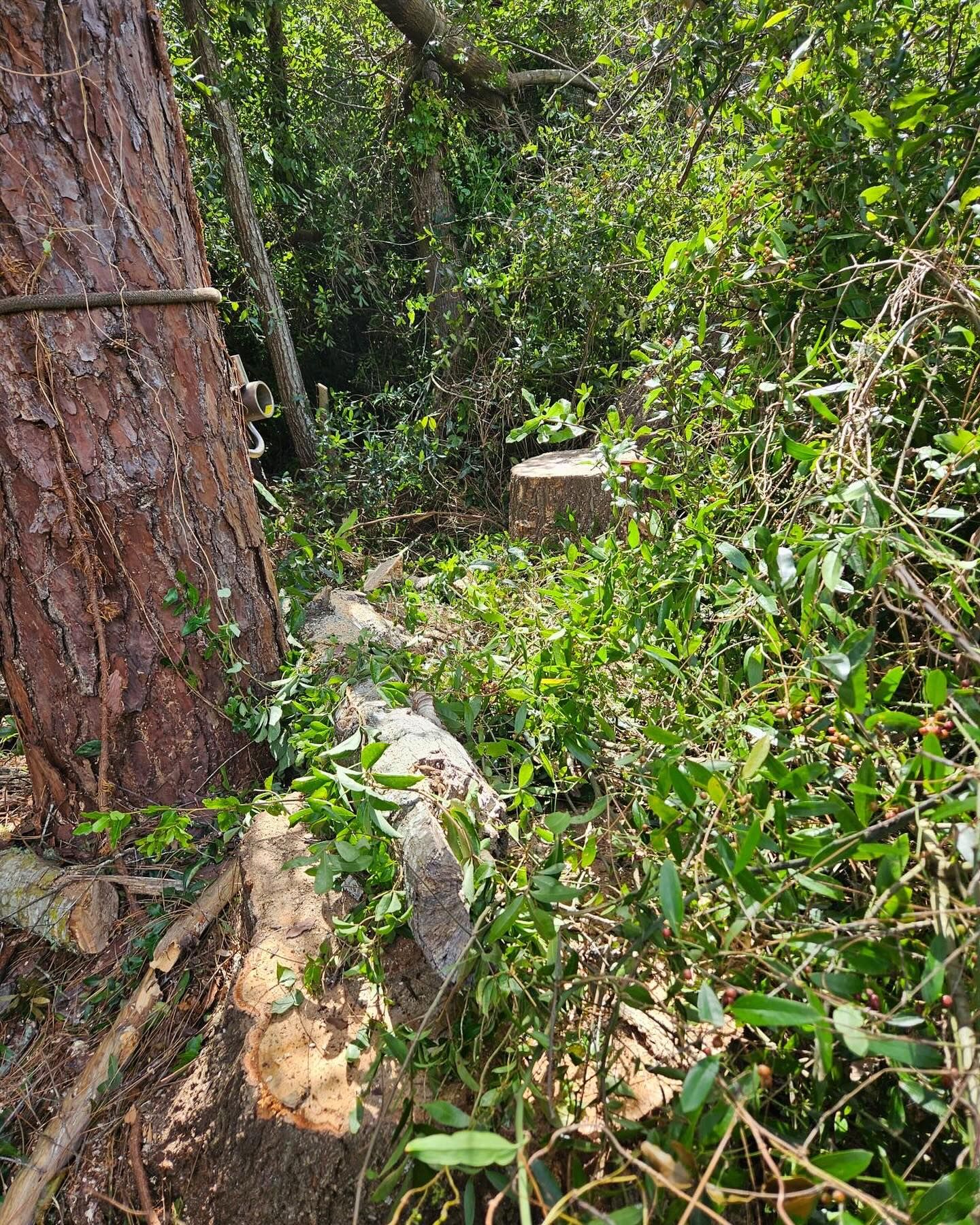  for J & E Land Clearing, LLC. in Dunnellon, FL