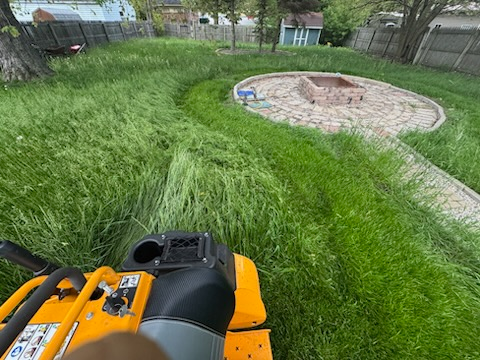 for Daugherty's Tough Lawn Care in Essexville, MI