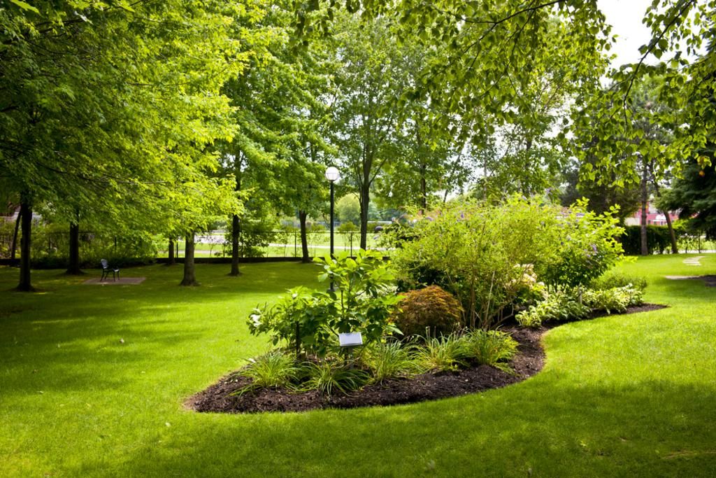  for  Be Green Lawn Care & Landscaping, LLC in Denton, TX