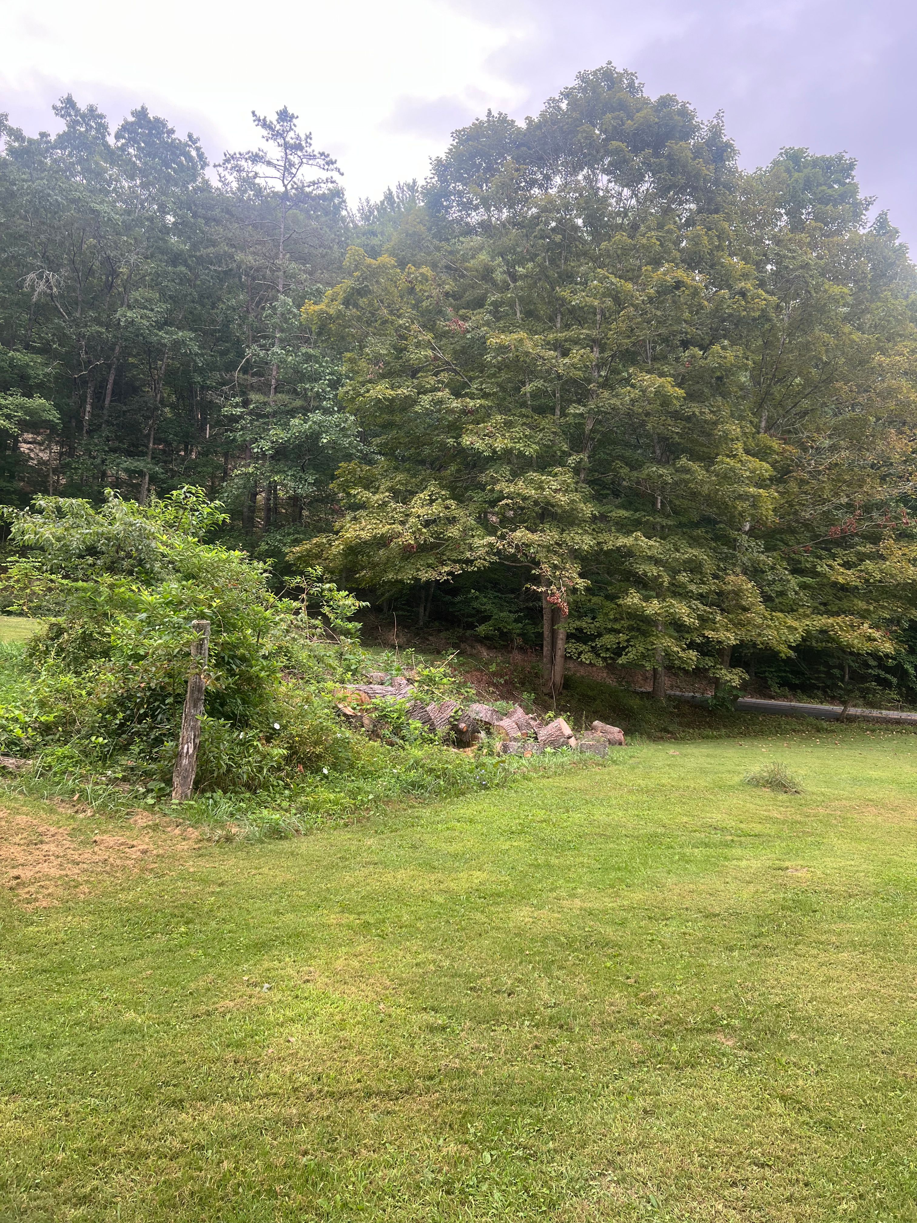 All Photos for Clarke Excavation Co. in Covington, VA