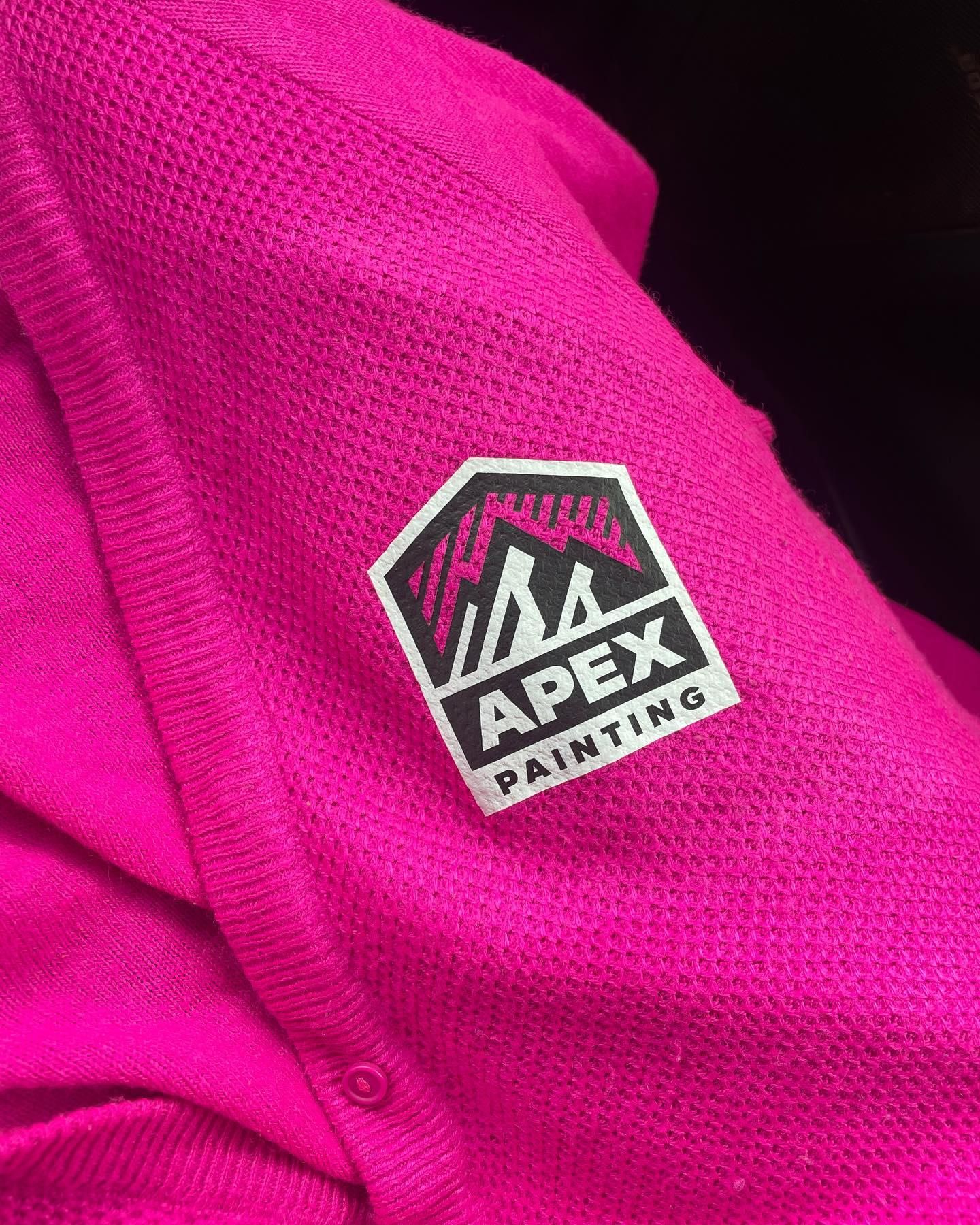  for Apex Painting in Livonia, MI