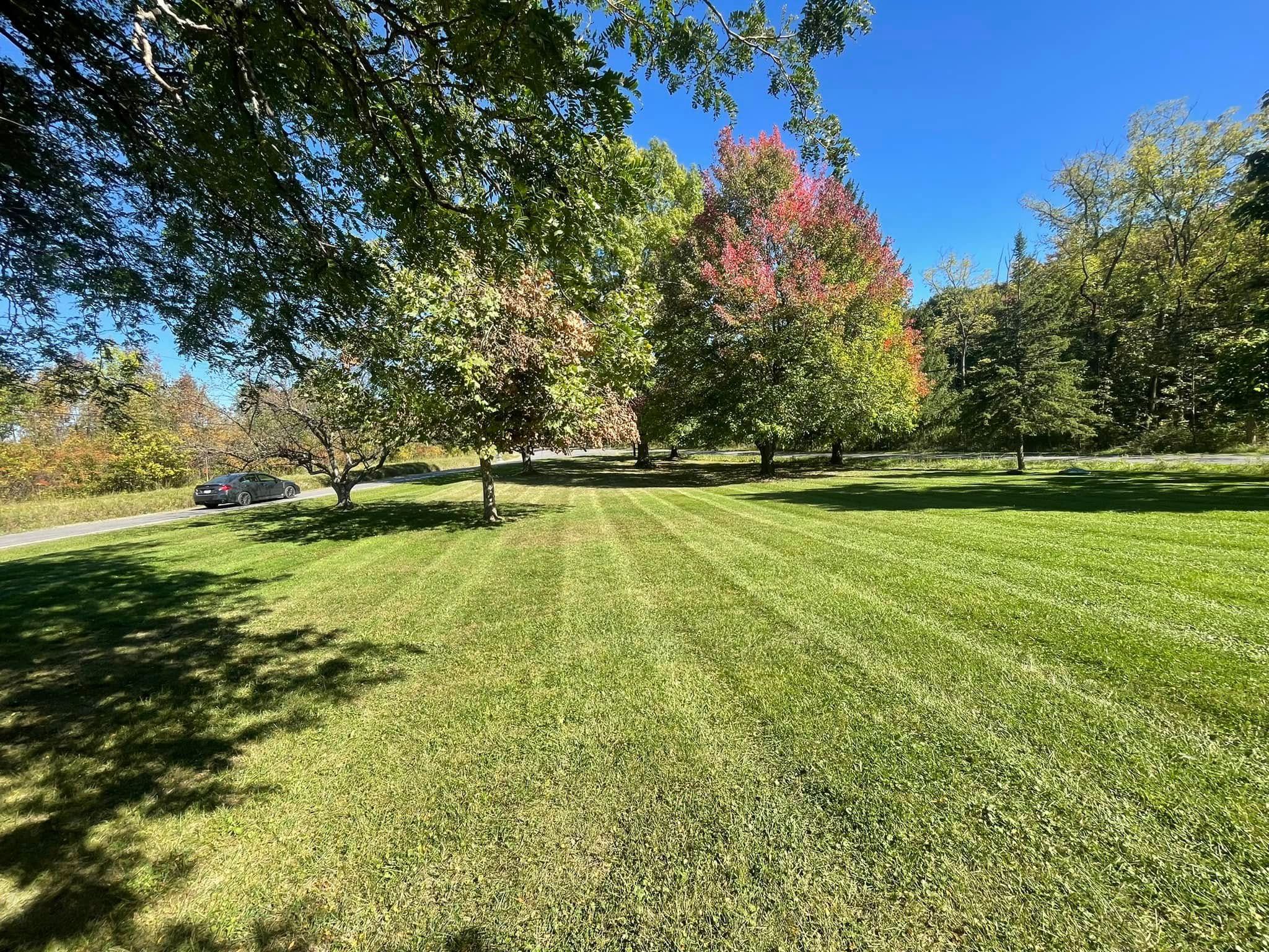  for Reynoso’s Fencing & Lawn Care in Painesville, OH