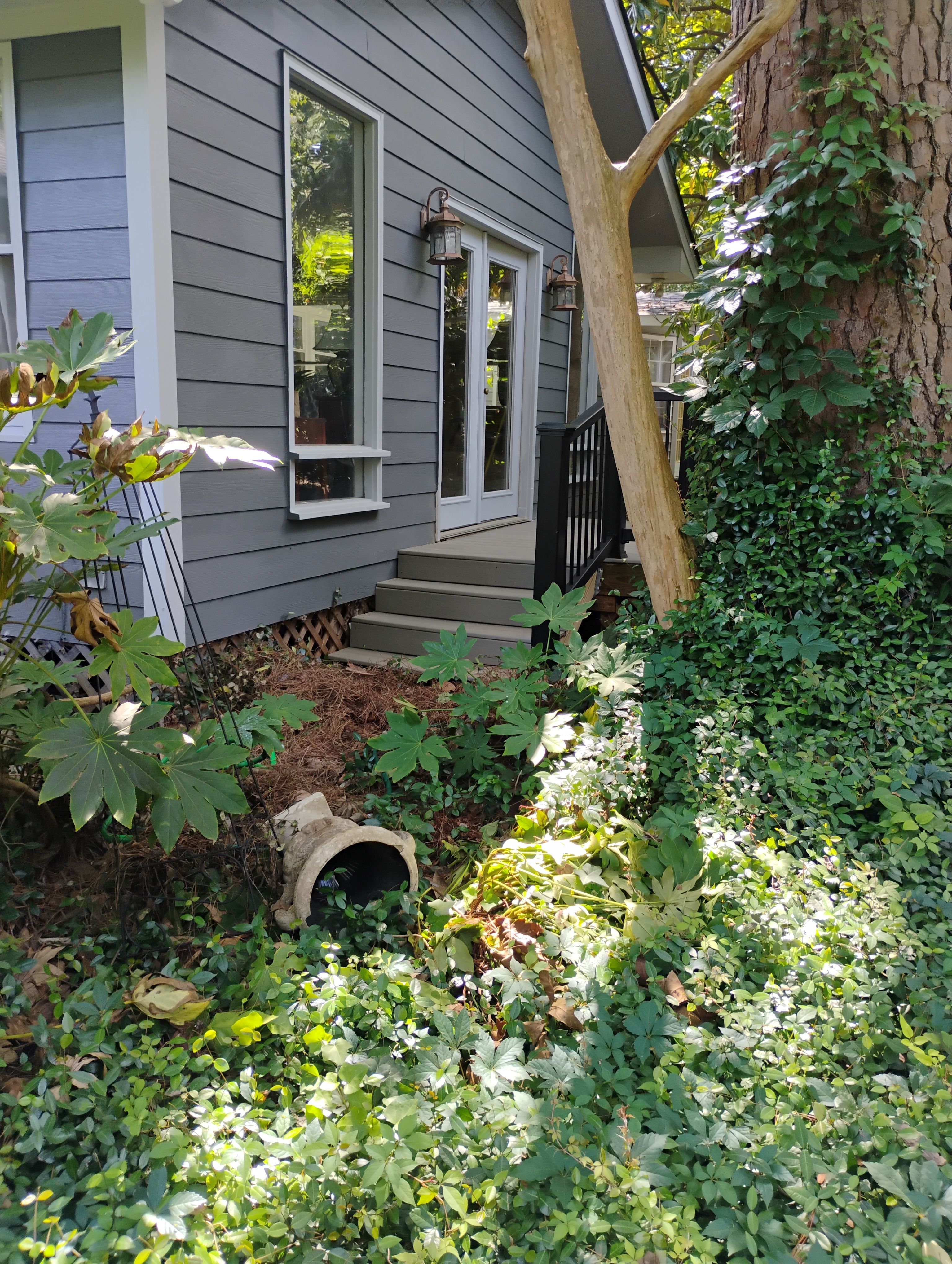  for Infinite Development and Management, LLC in Columbia, SC