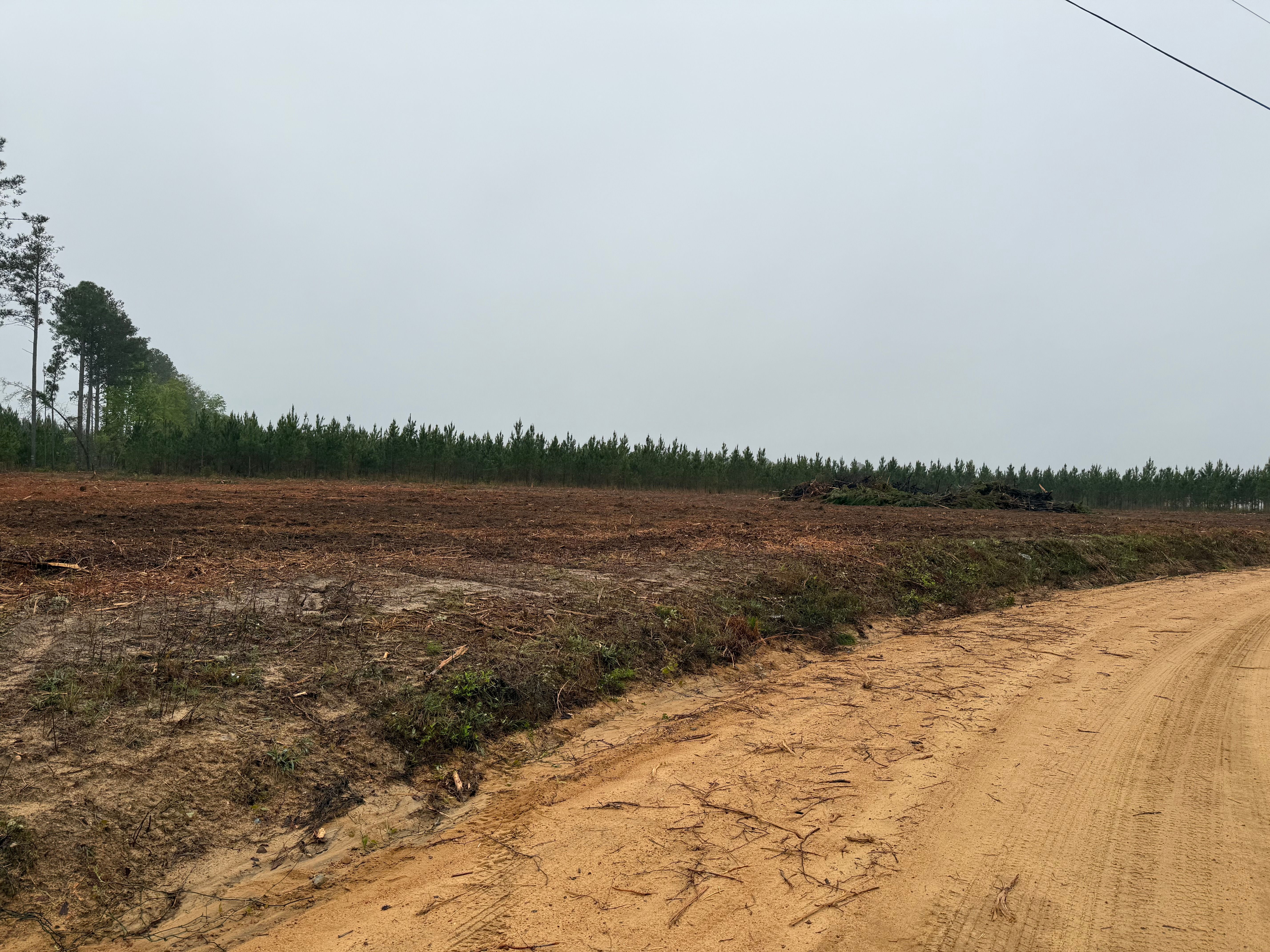  for T N L - Tree and Land Service in Reynolds, GA
