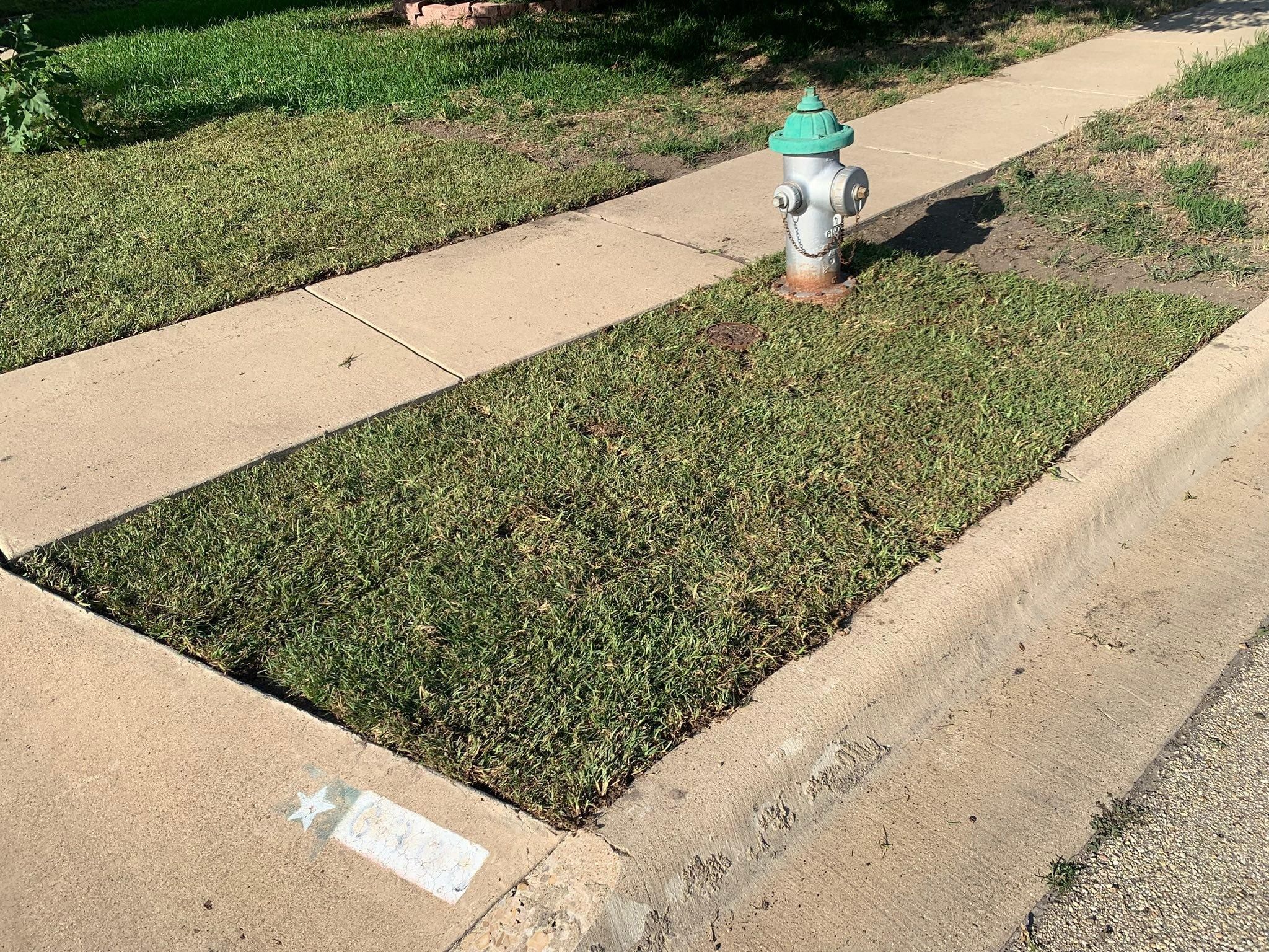  for Scalpel Lawn Service in Temple, TX