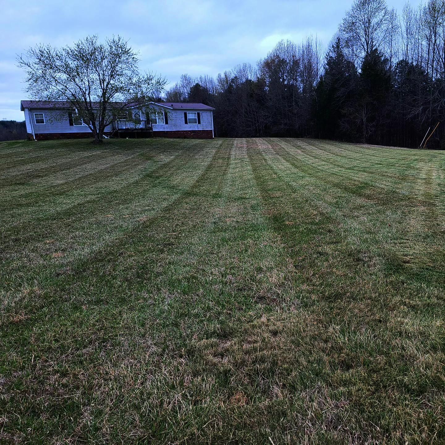  for Piedmont Lawn and Landscaping in Lexington, NC