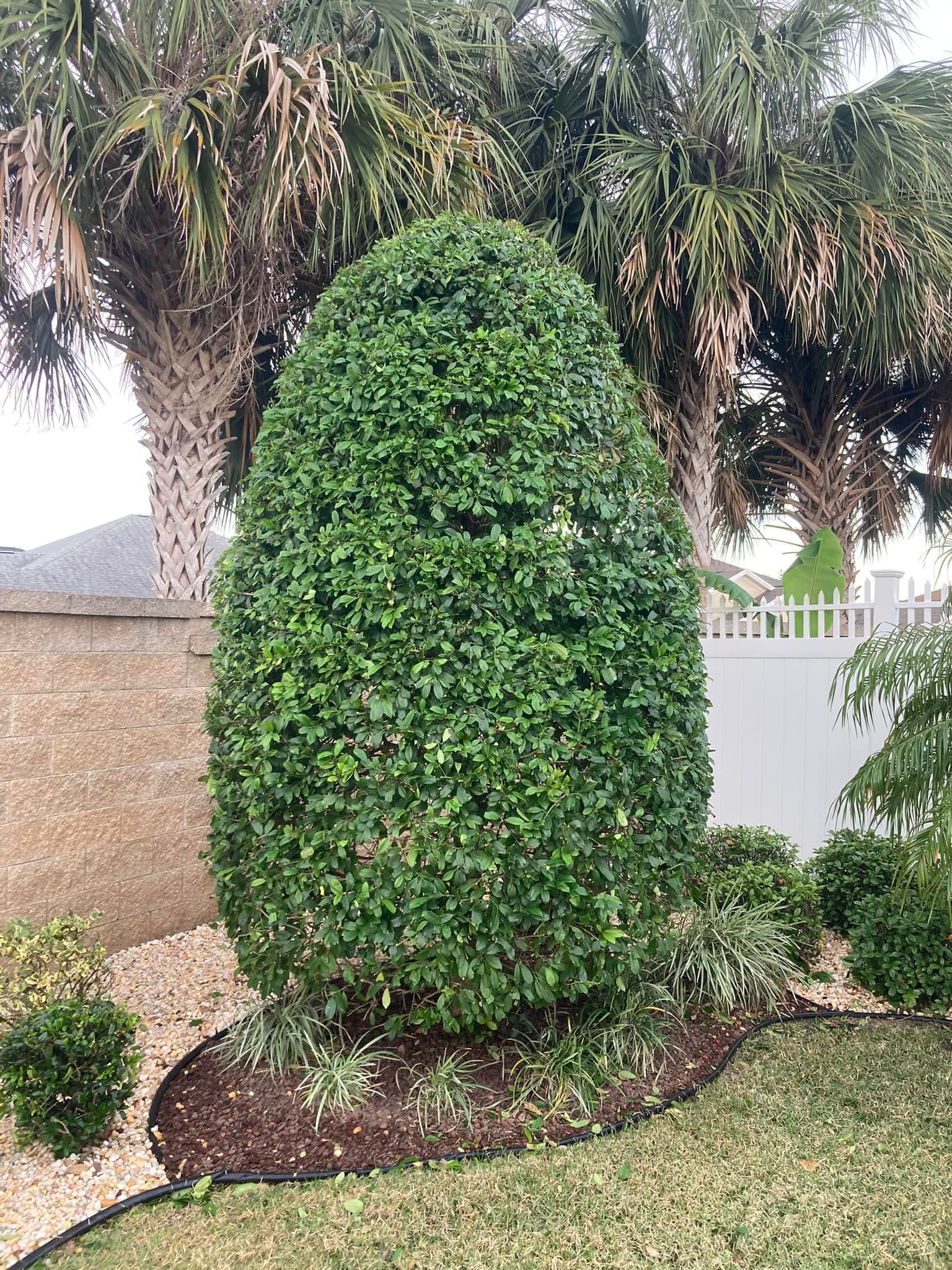 Landscaping Lawn Care for Bob's Mow n GO LLC in Lady Lake, FL