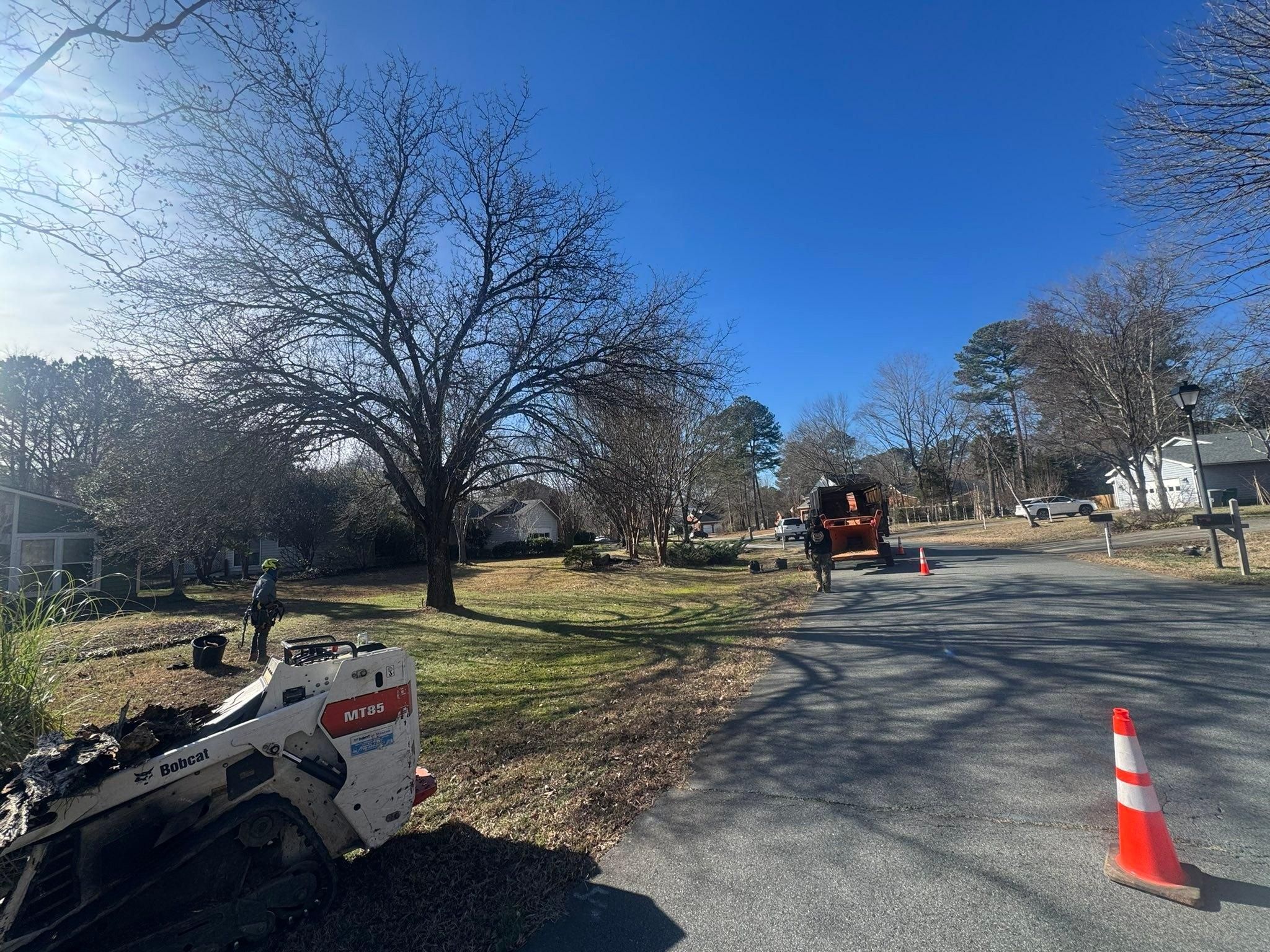  for Pedro's Tree Removal in Charlotte, NC