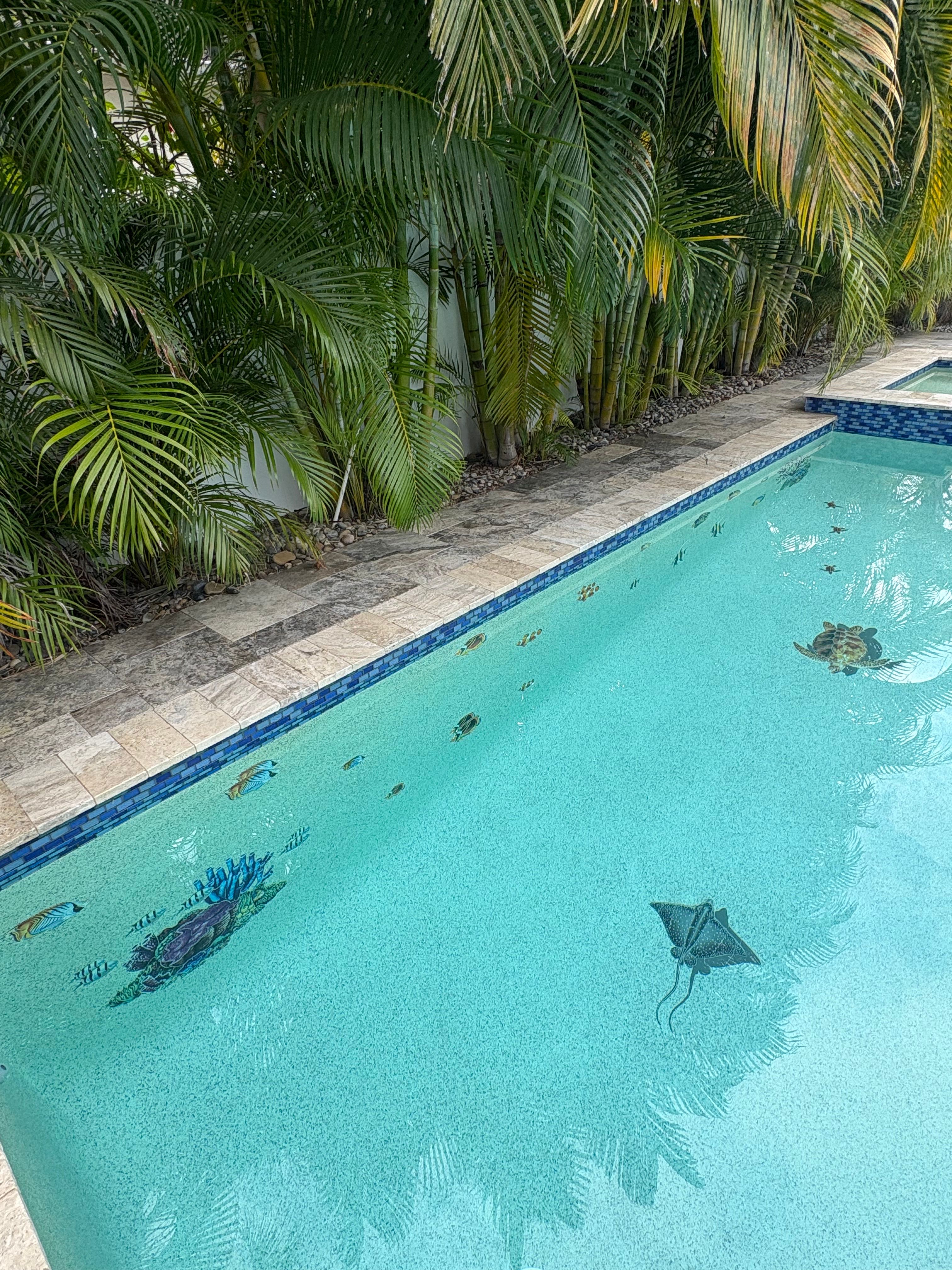  for Blue Bay Pools in Tampa, FL