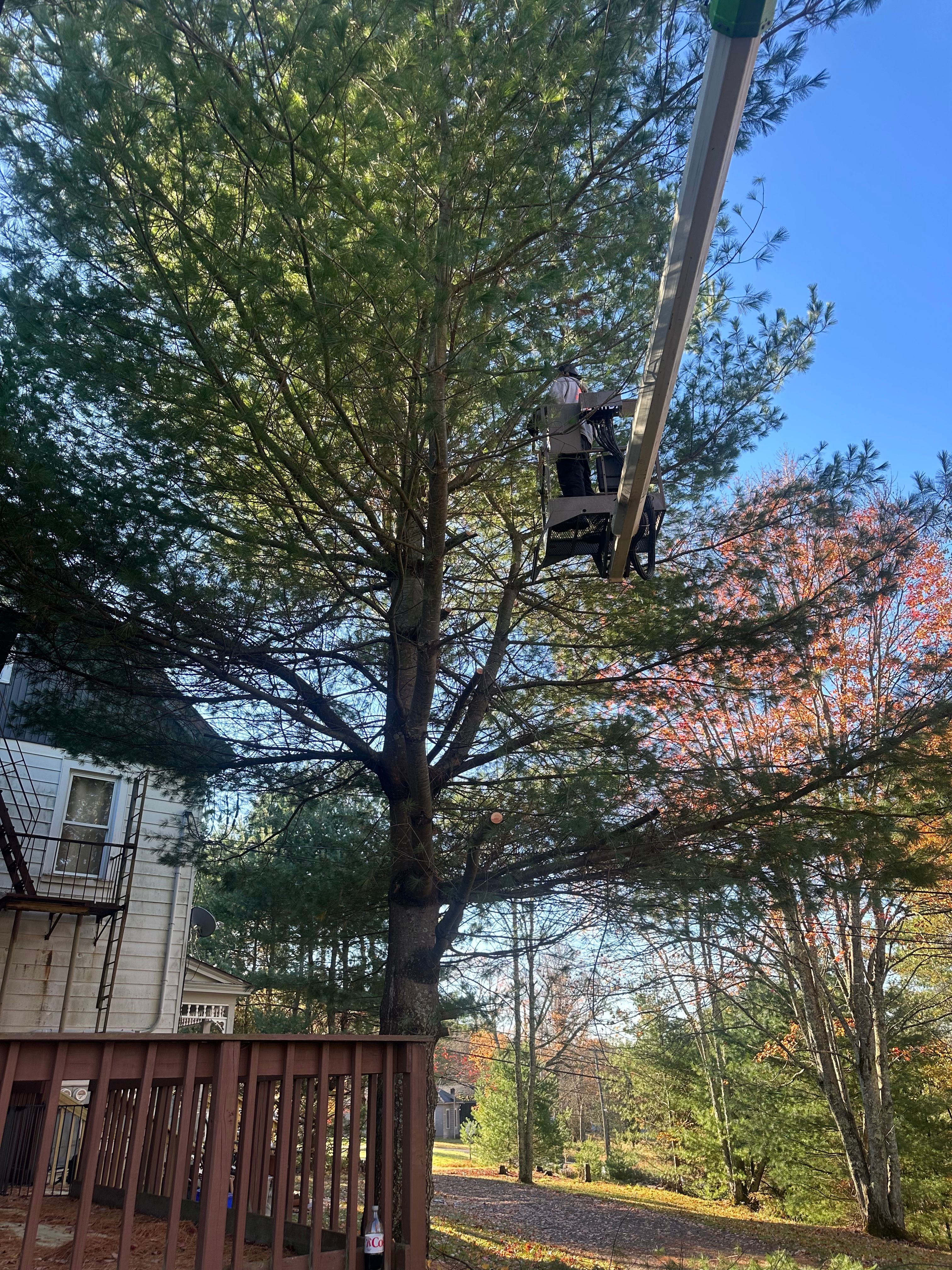 All Photos for Precision Construction in North Branch, NY