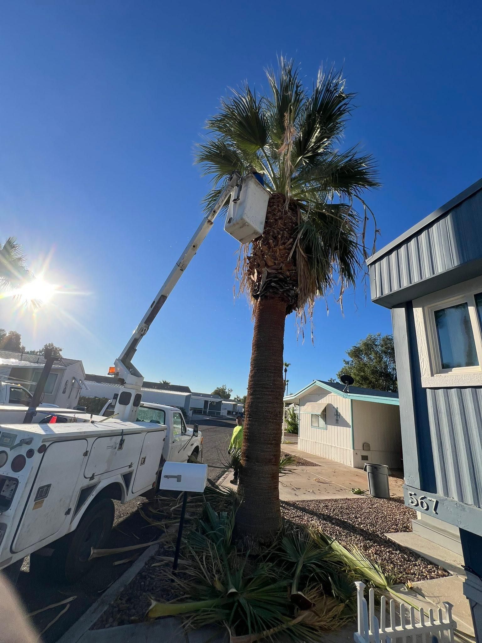  for Top Notch Landscape Services LLC in Mohave Valley, AZ