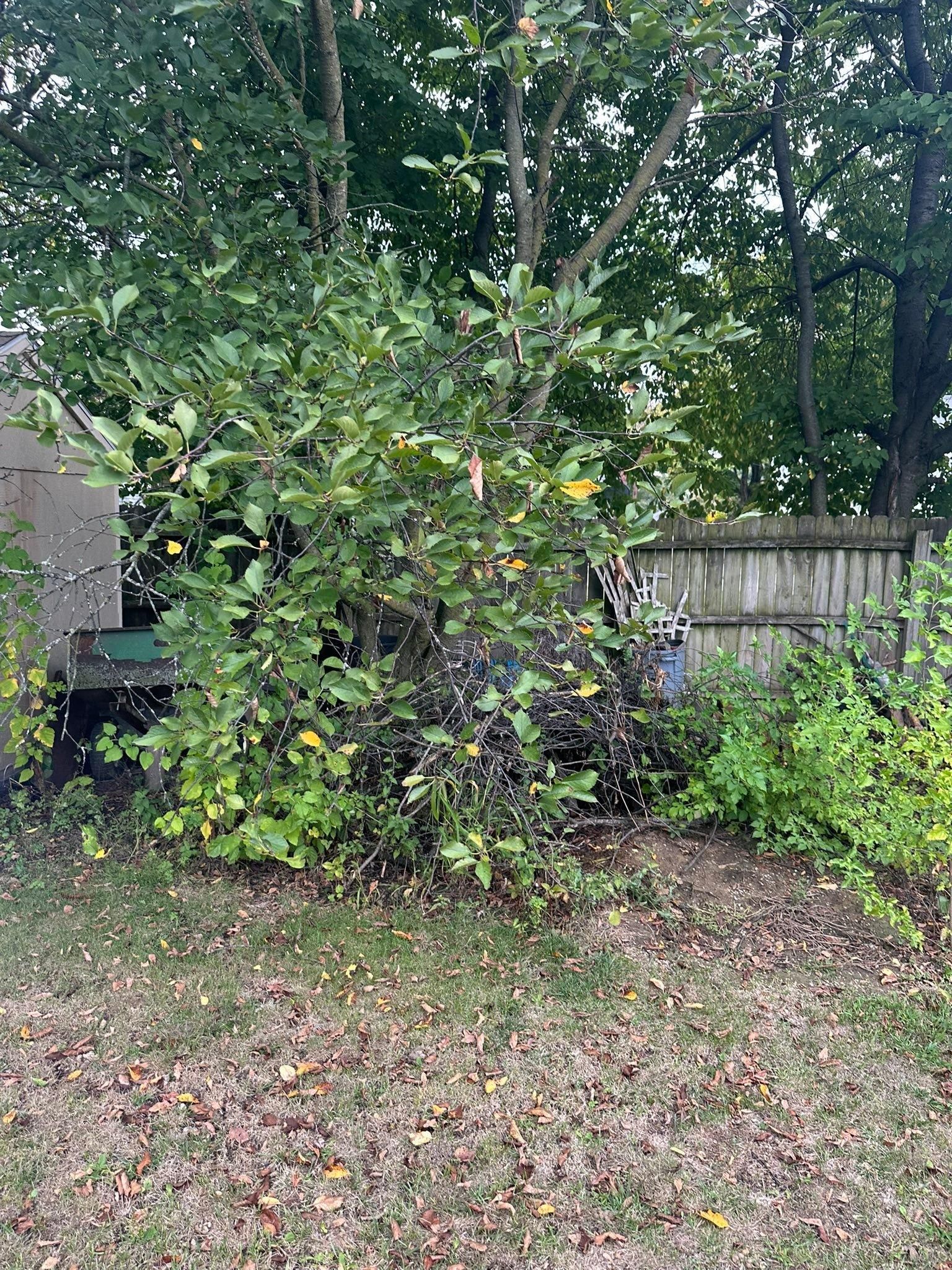  for OT Lawn and Landscaping LLC in Carey, OH