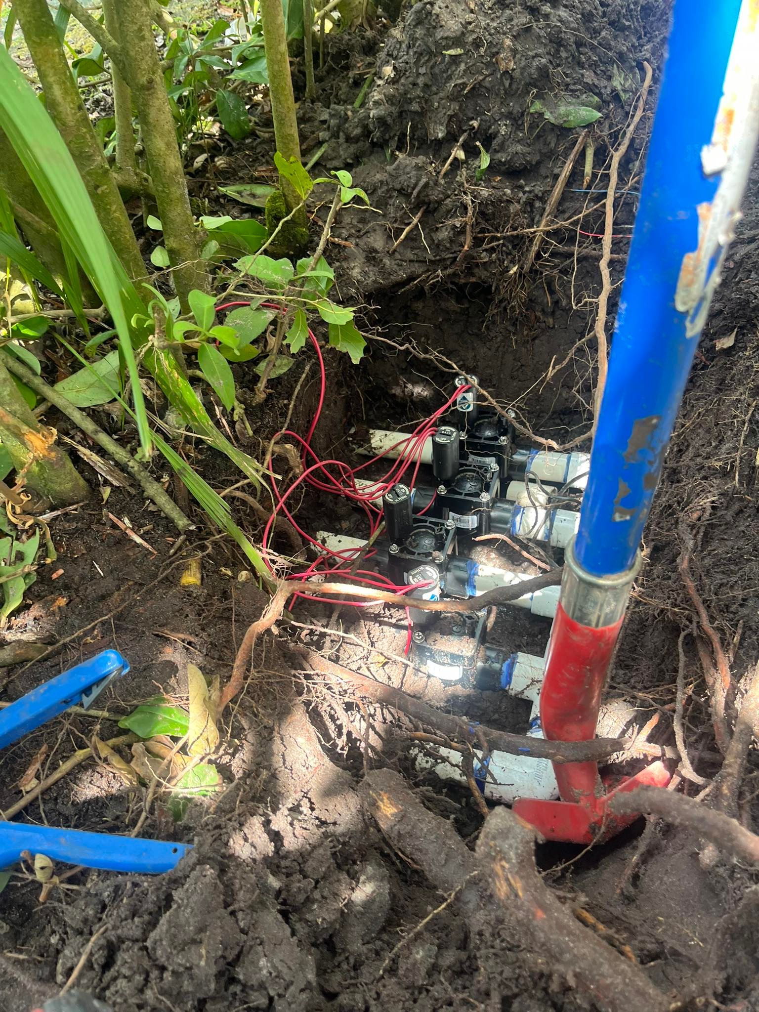  for The Sprinkler Lady LLC in Port Orange, FL