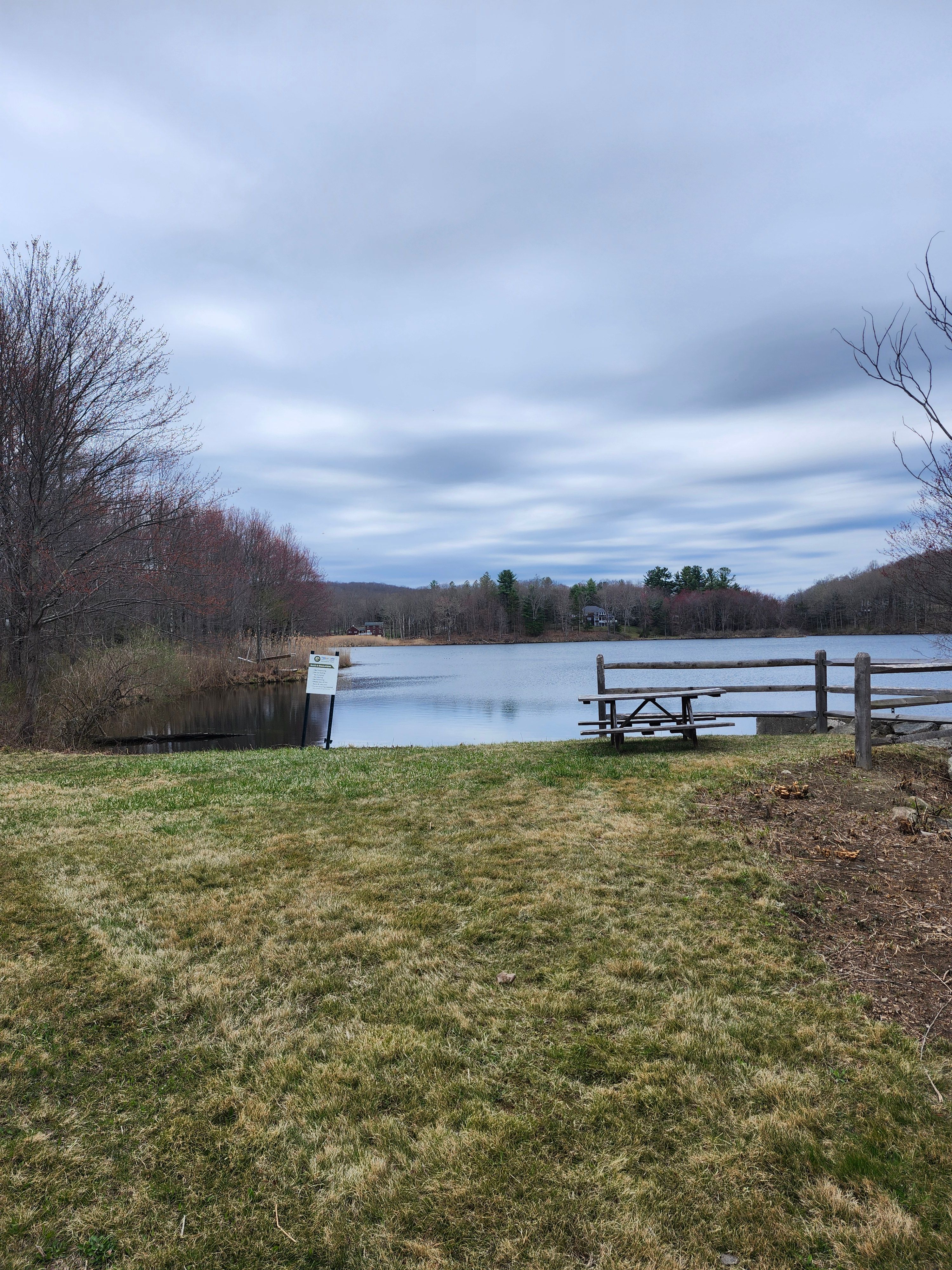 Hedge/Tree/Brush Cutting for Landscape Innovations LLC in Torrington, CT