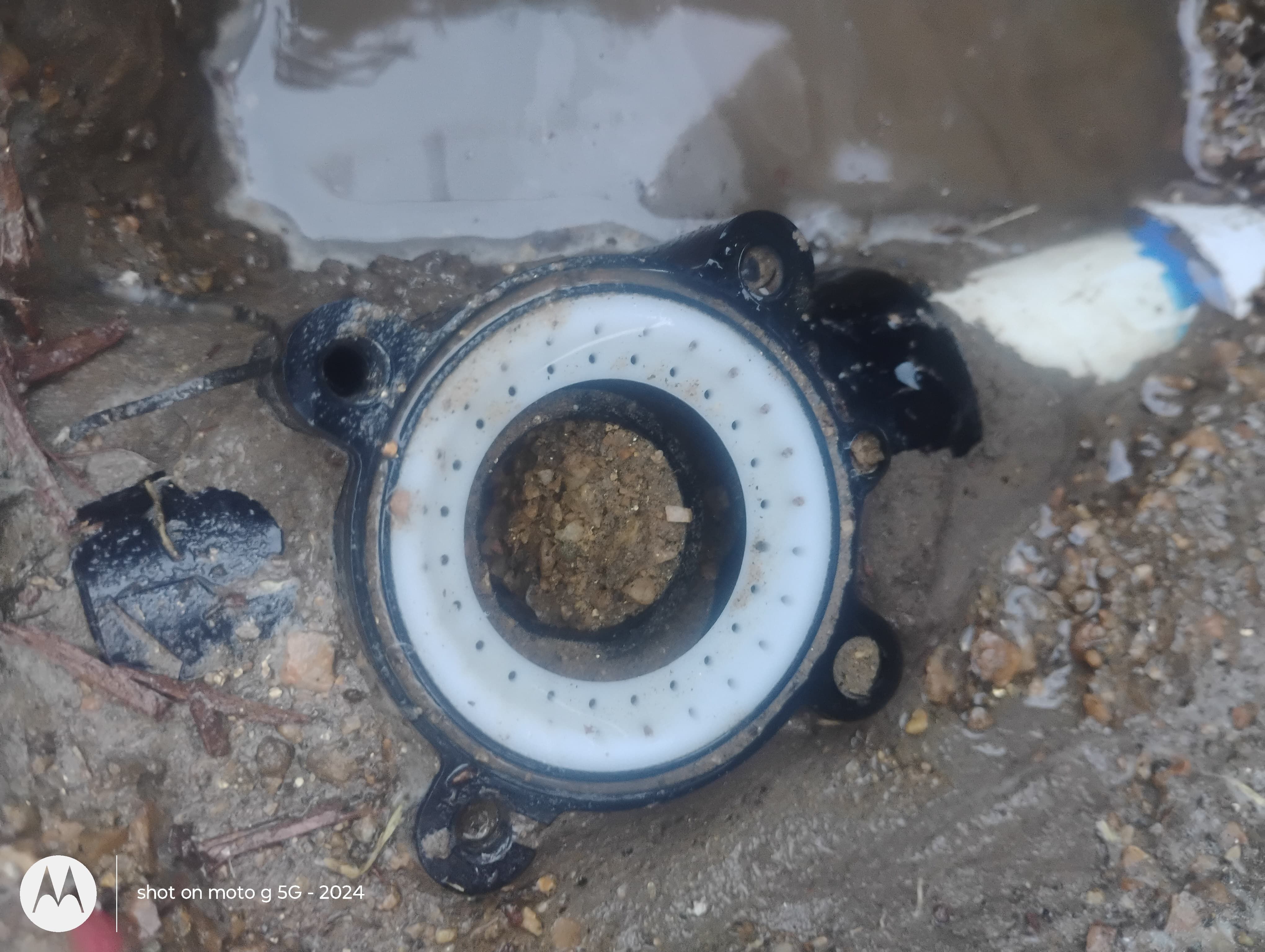  for Pro Lawn Care RGV in McAllen, TX