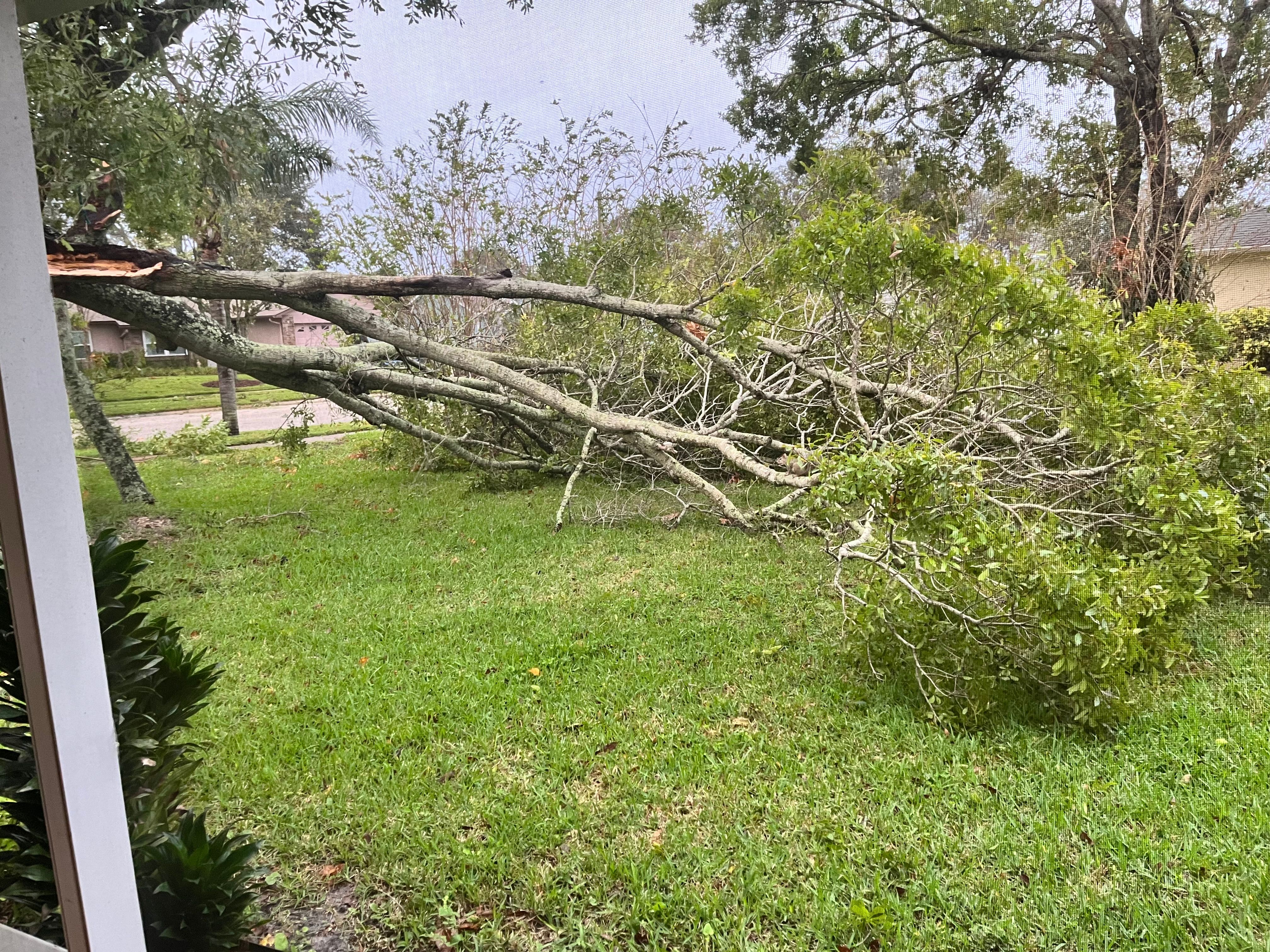  for Space Coast Property Maintenance and Management LLC in Melbourne, FL