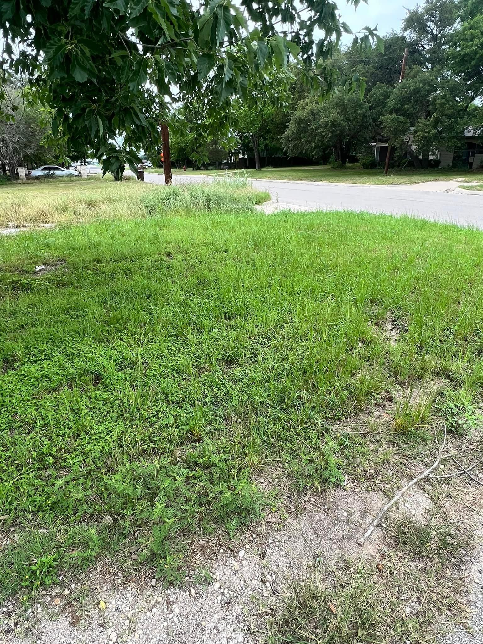 All Photos for Green Turf Landscaping in Kyle, TX