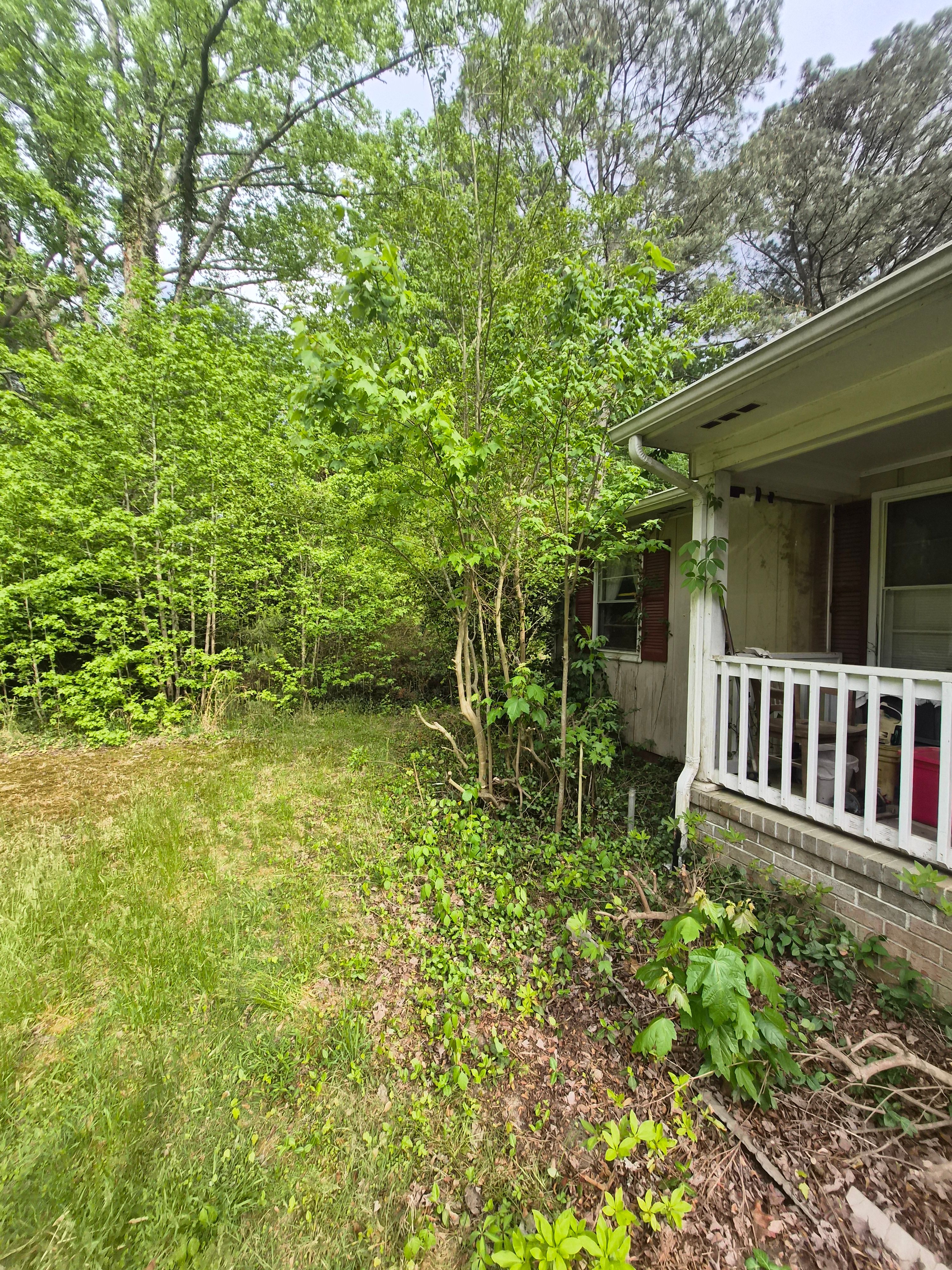 All Photos for 4 Points Lawncare LLC in Hayes, VA