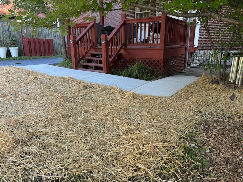  for J & B Landscaping in St. Louis, MO