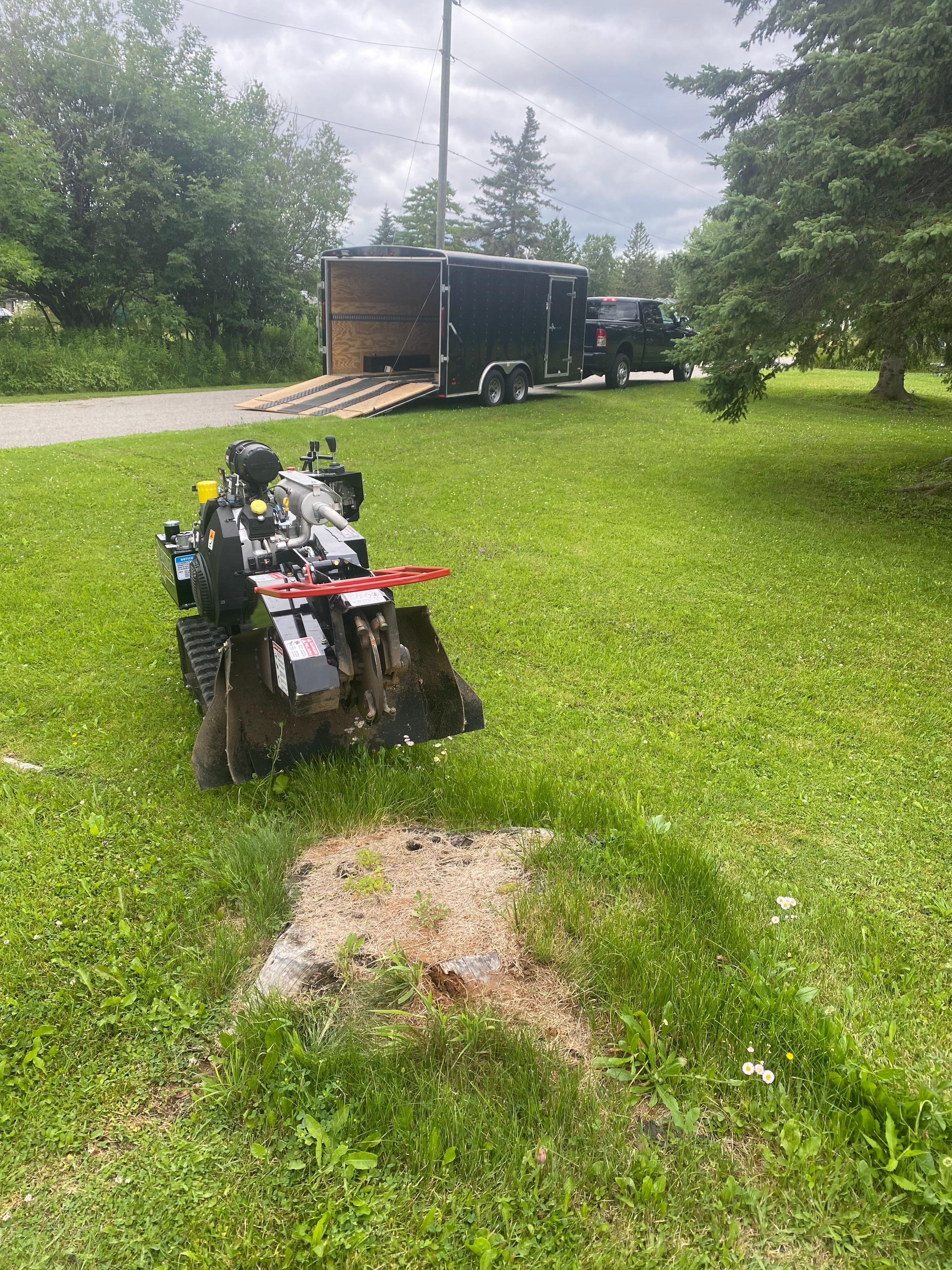 Stump Grinding for Bear Creek Tree Service LLC in Rudyard, MI