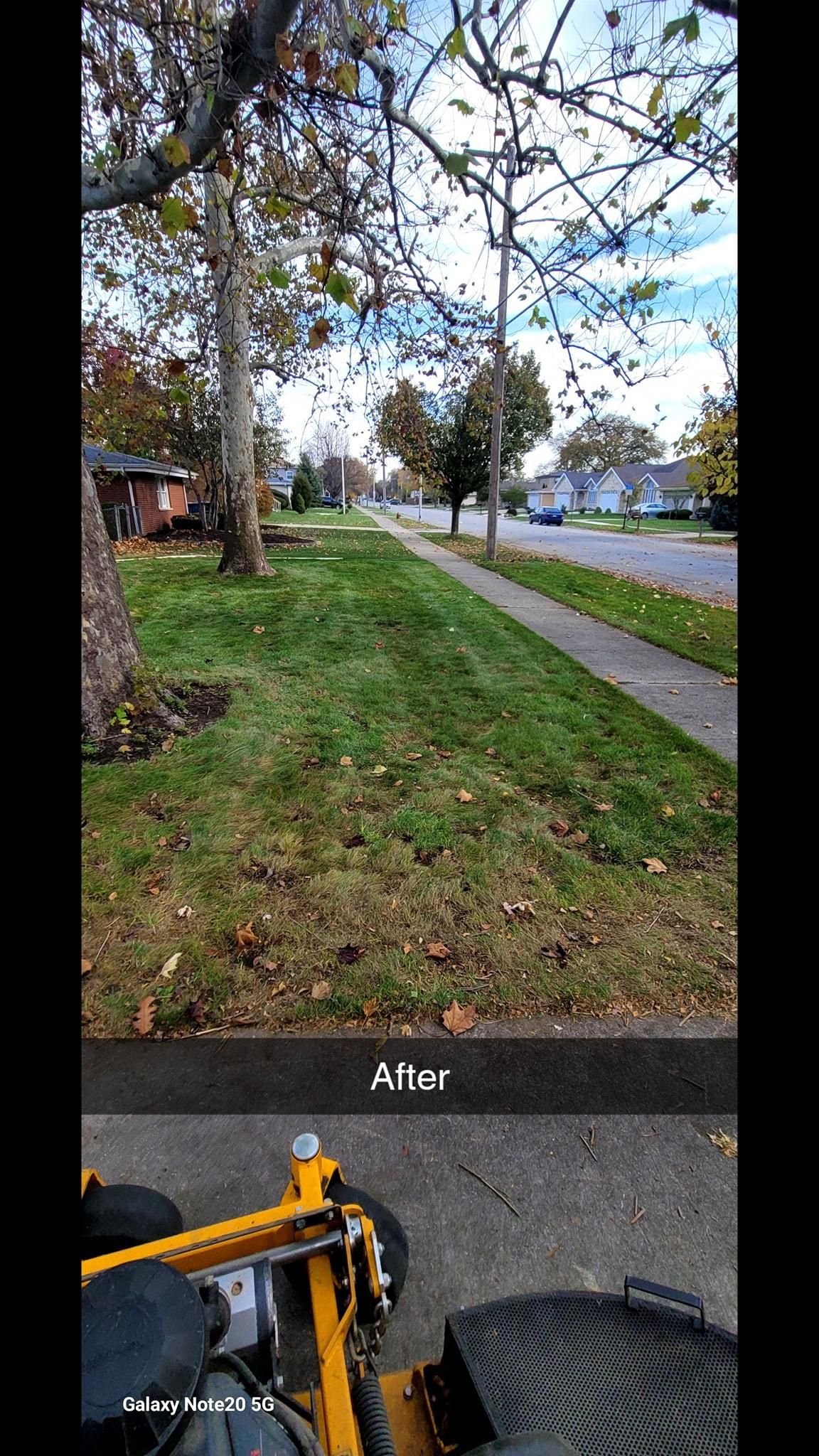 Spring And Fall Cleanups for Sals Lawn and Landscape in Oak Lawn, IL