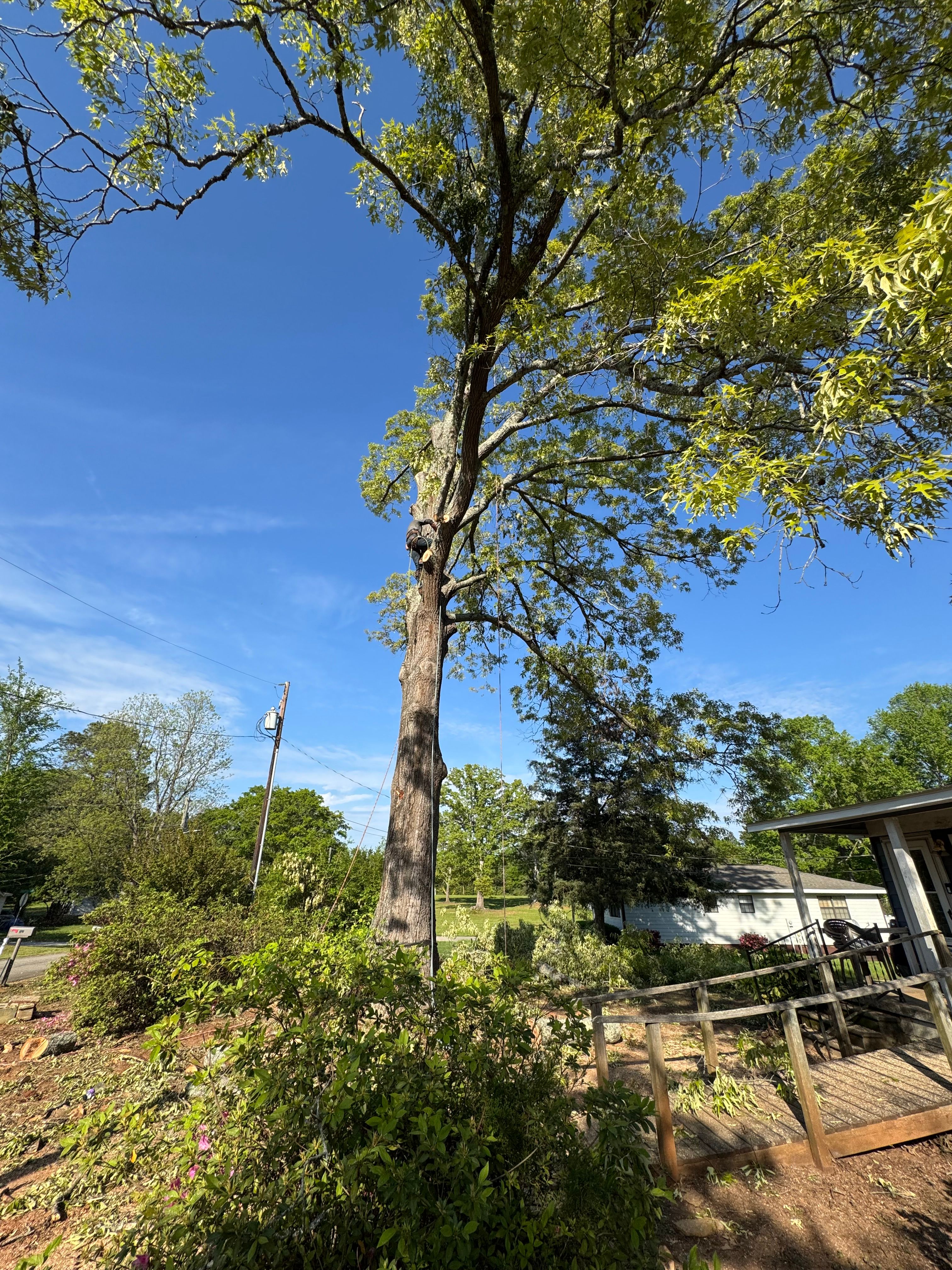  for Thin Green Line Landscaping & More in Laurens, SC