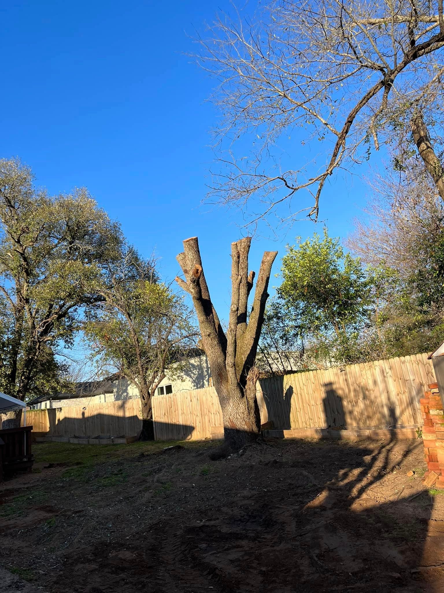 All Photos for Banda’s Tree Service And Lawn Care in Tyler, TX