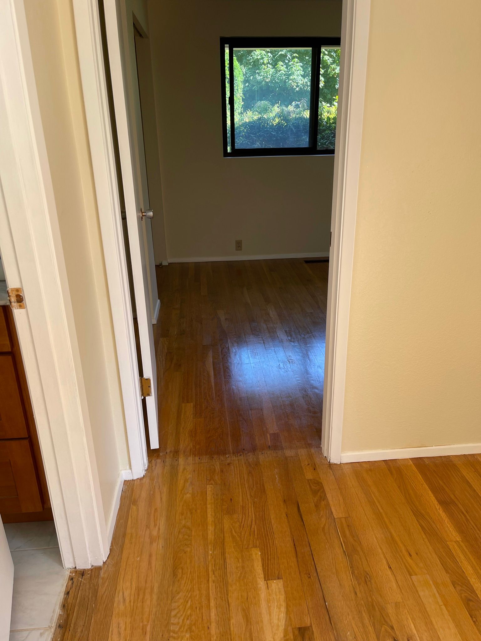  for Tony's Remodeling & Painting in Renton, WA