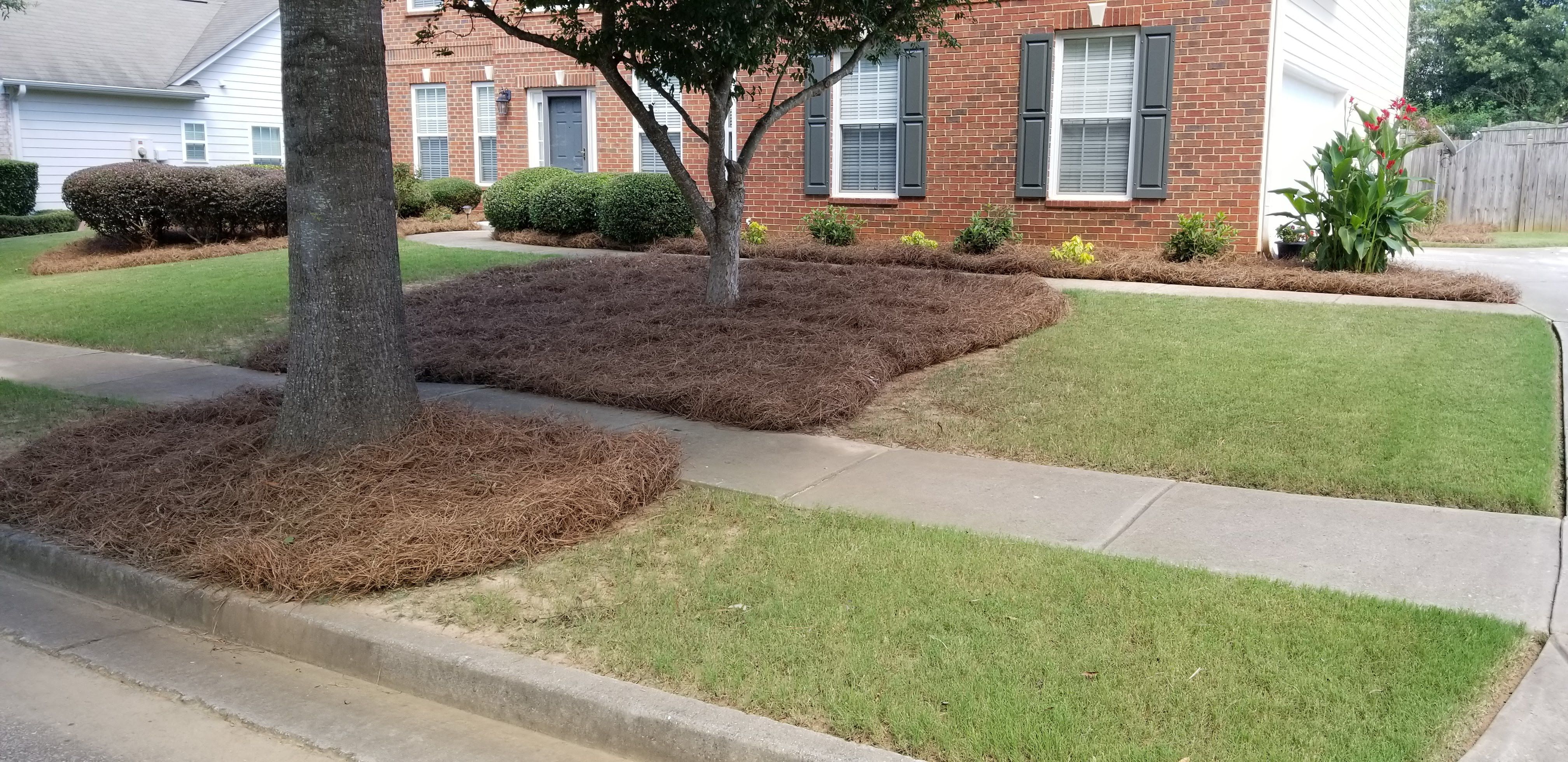  for New Beginning Landscape & Remodel LLC in Atlanta, GA