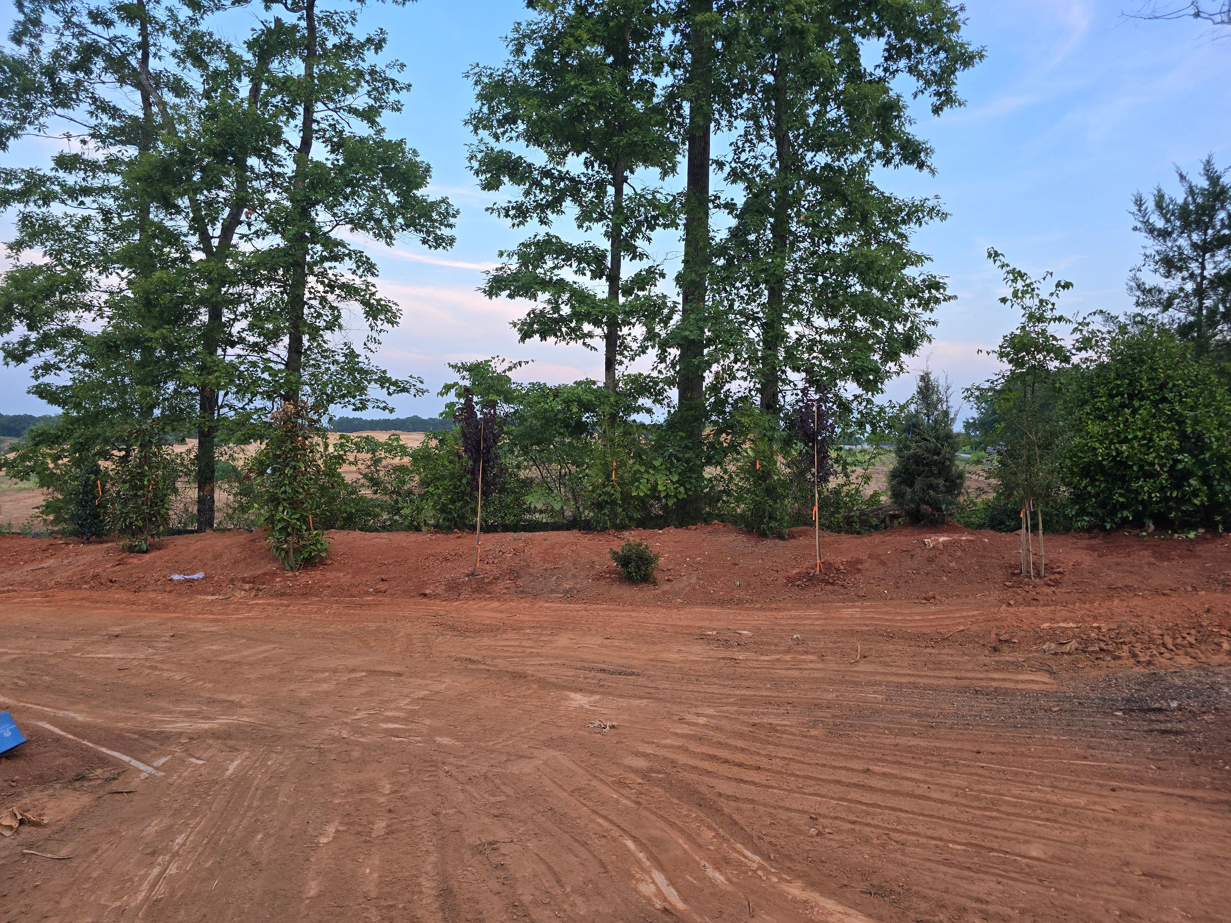 All Photos for Sunshine's Dreamscapes in Greenville, SC