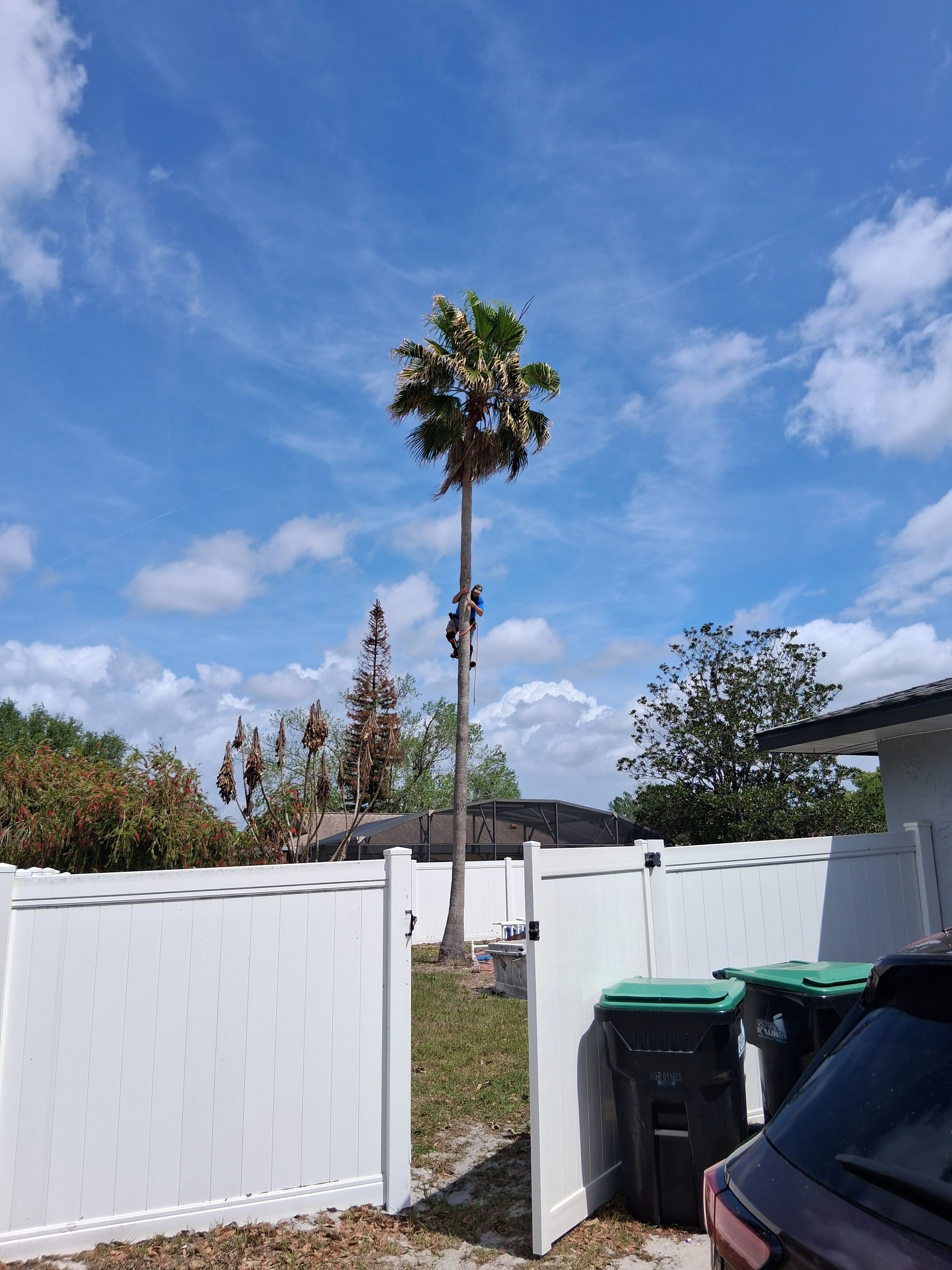  for A Southern Style Tree Service in Orlando, FL