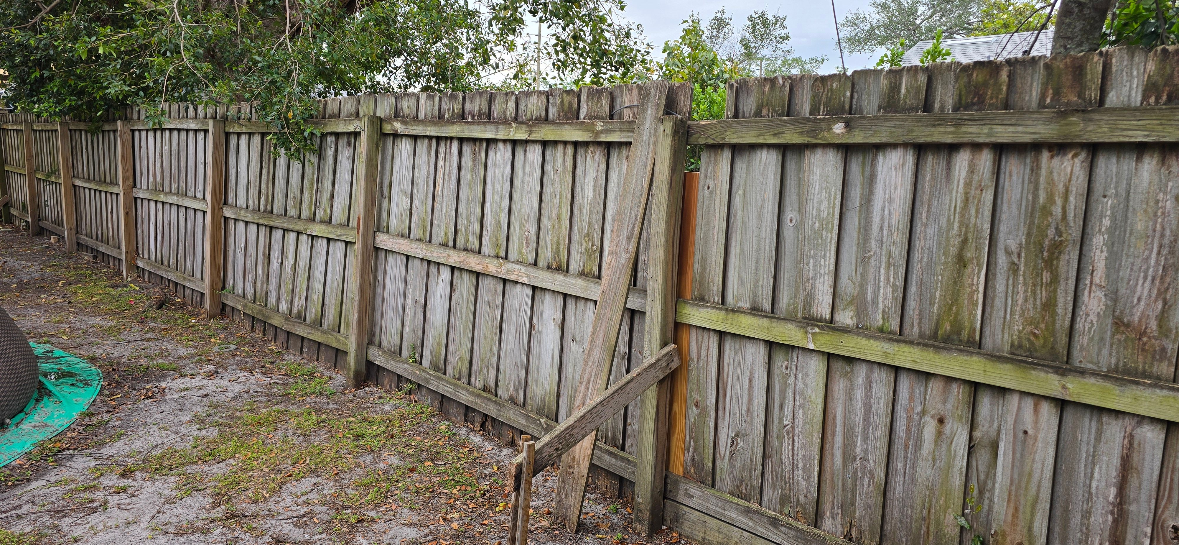  for Blue Stream Roof Cleaning & Pressure Washing in Tampa, FL