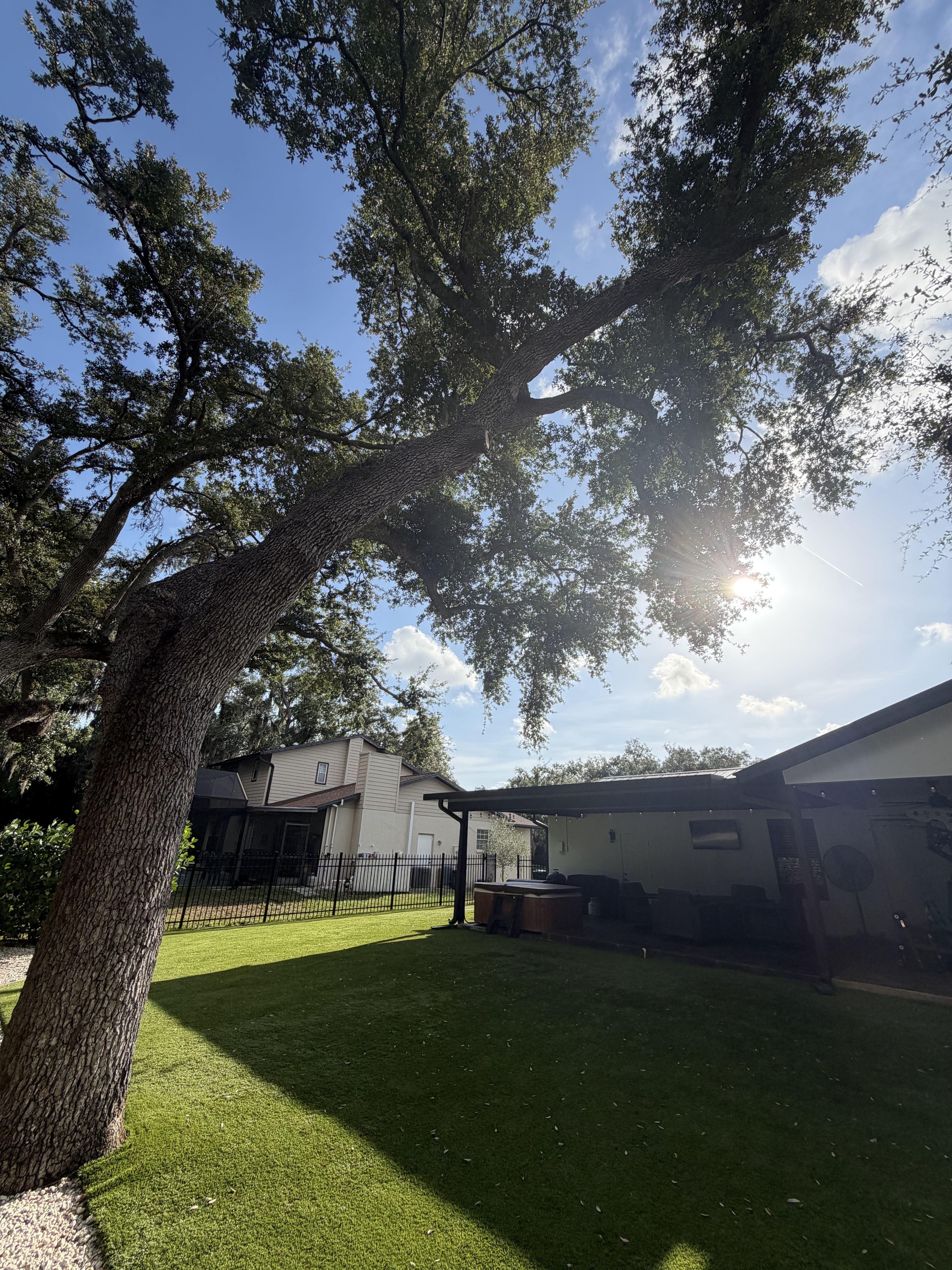  for Damian’s Tree Care in Sarasota, FL