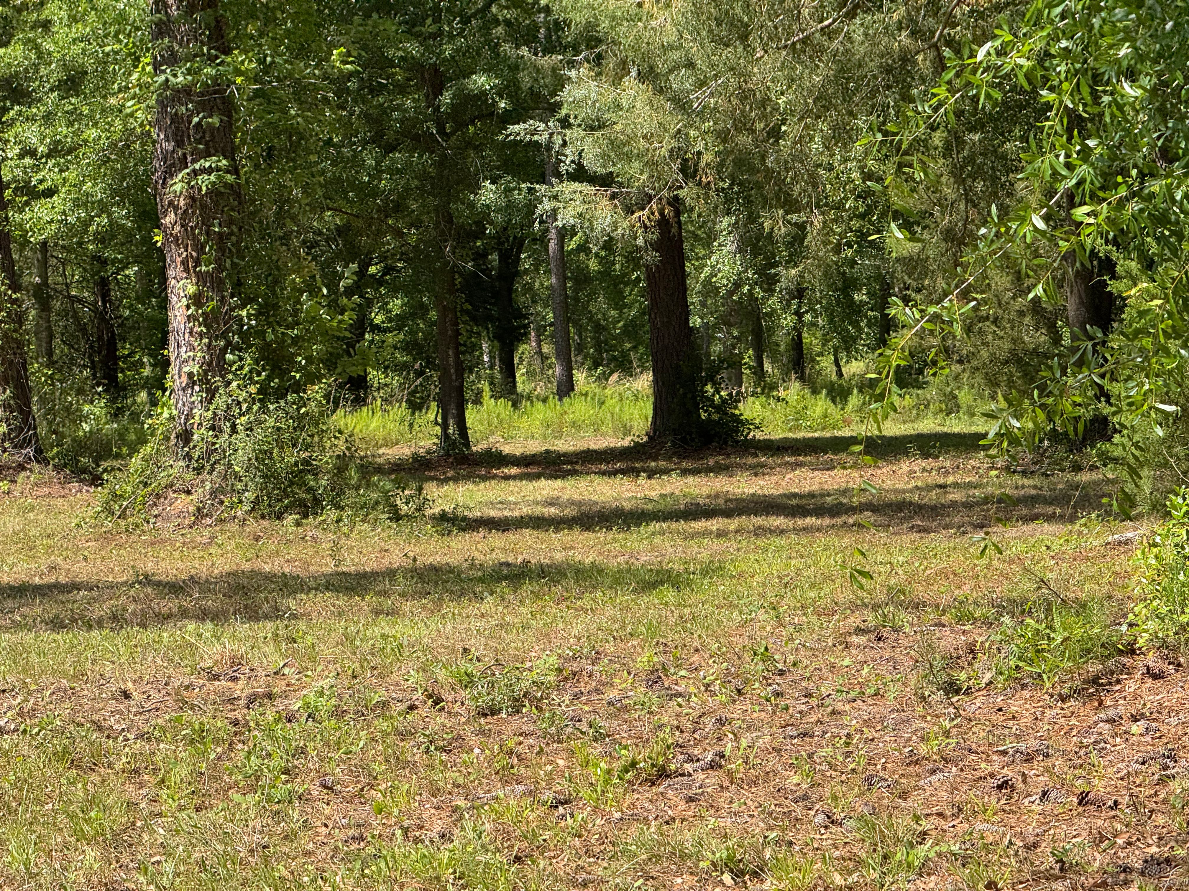 All Photos for Camalett Services in Perry, GA